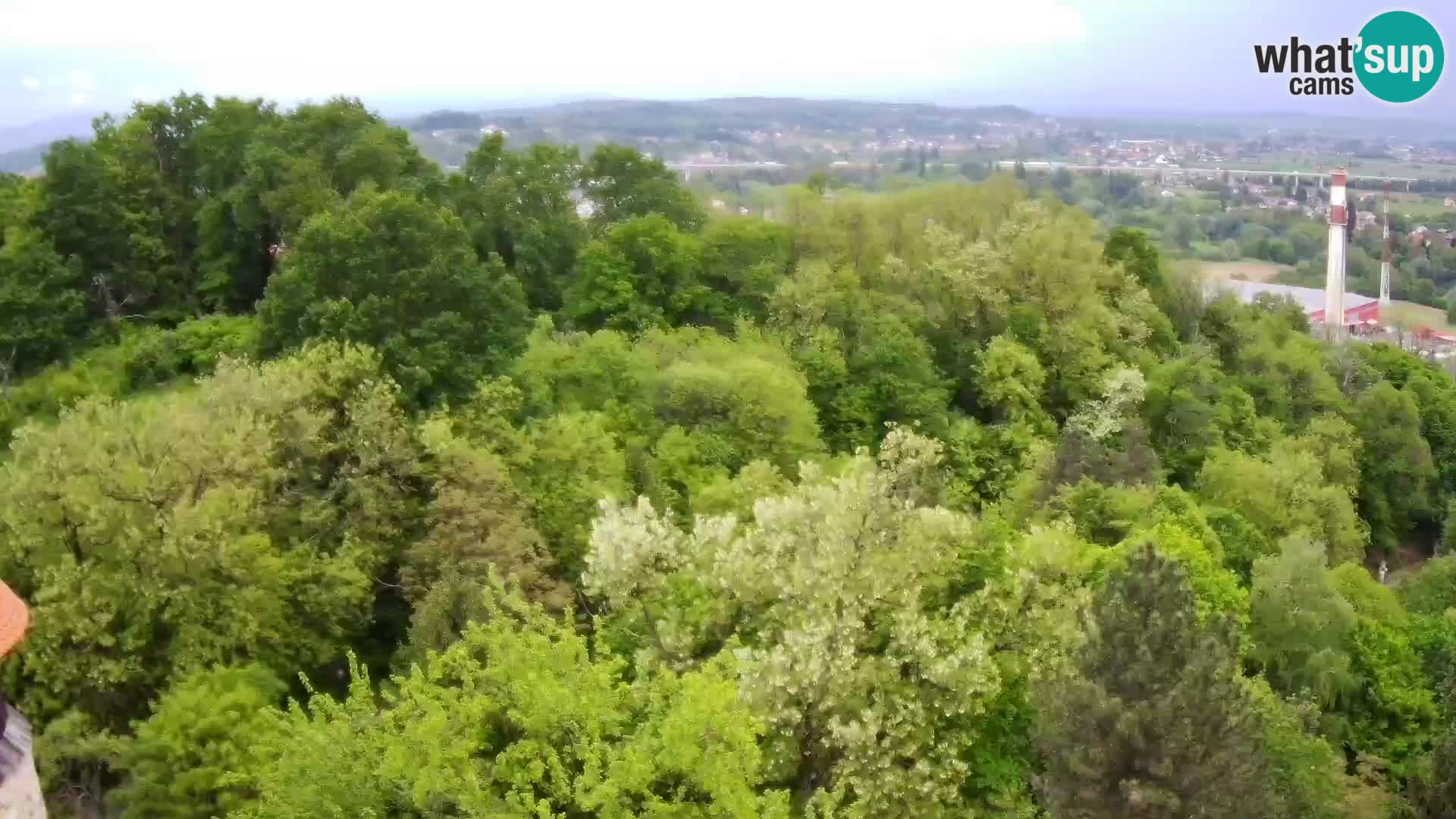 Webcam Castello Dubovac Karlovac – Vista Live sul Castello Storico