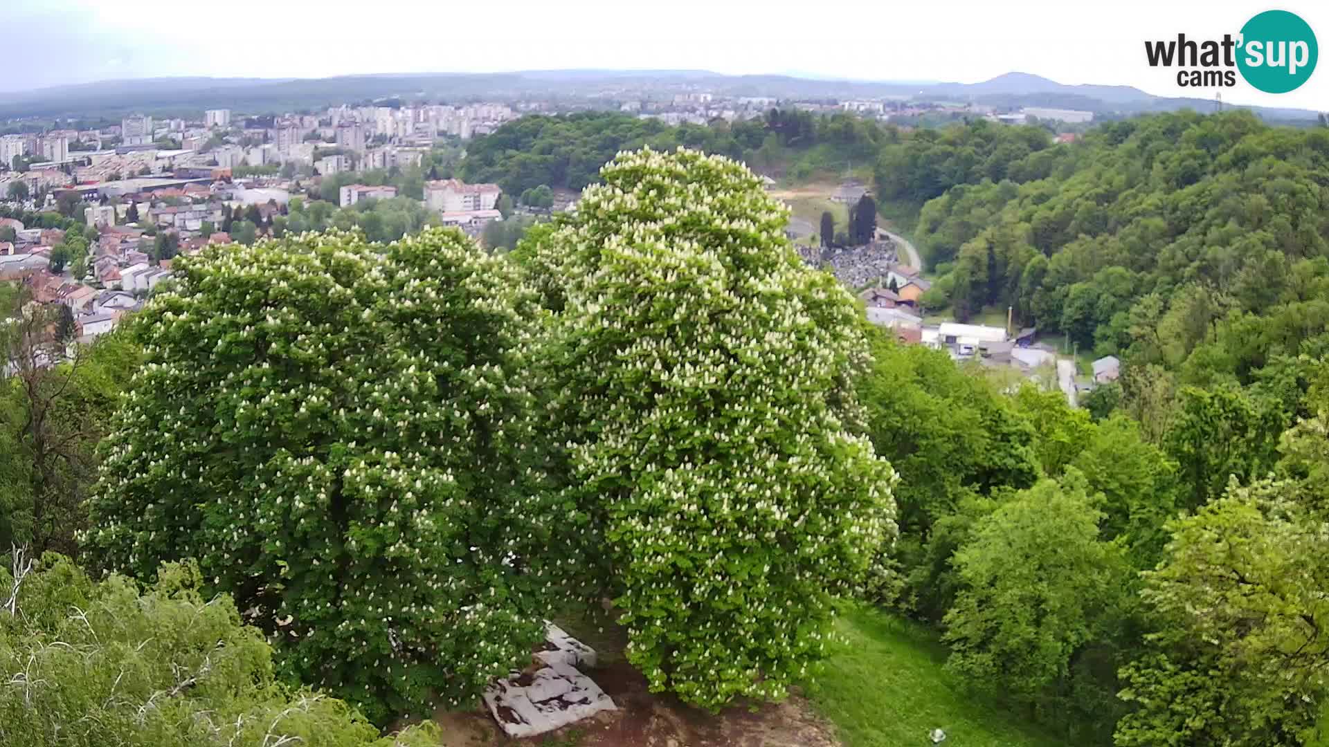 Webcam Karlstadt Burg Dubovac – Liveblick auf das historische Wahrzeichen