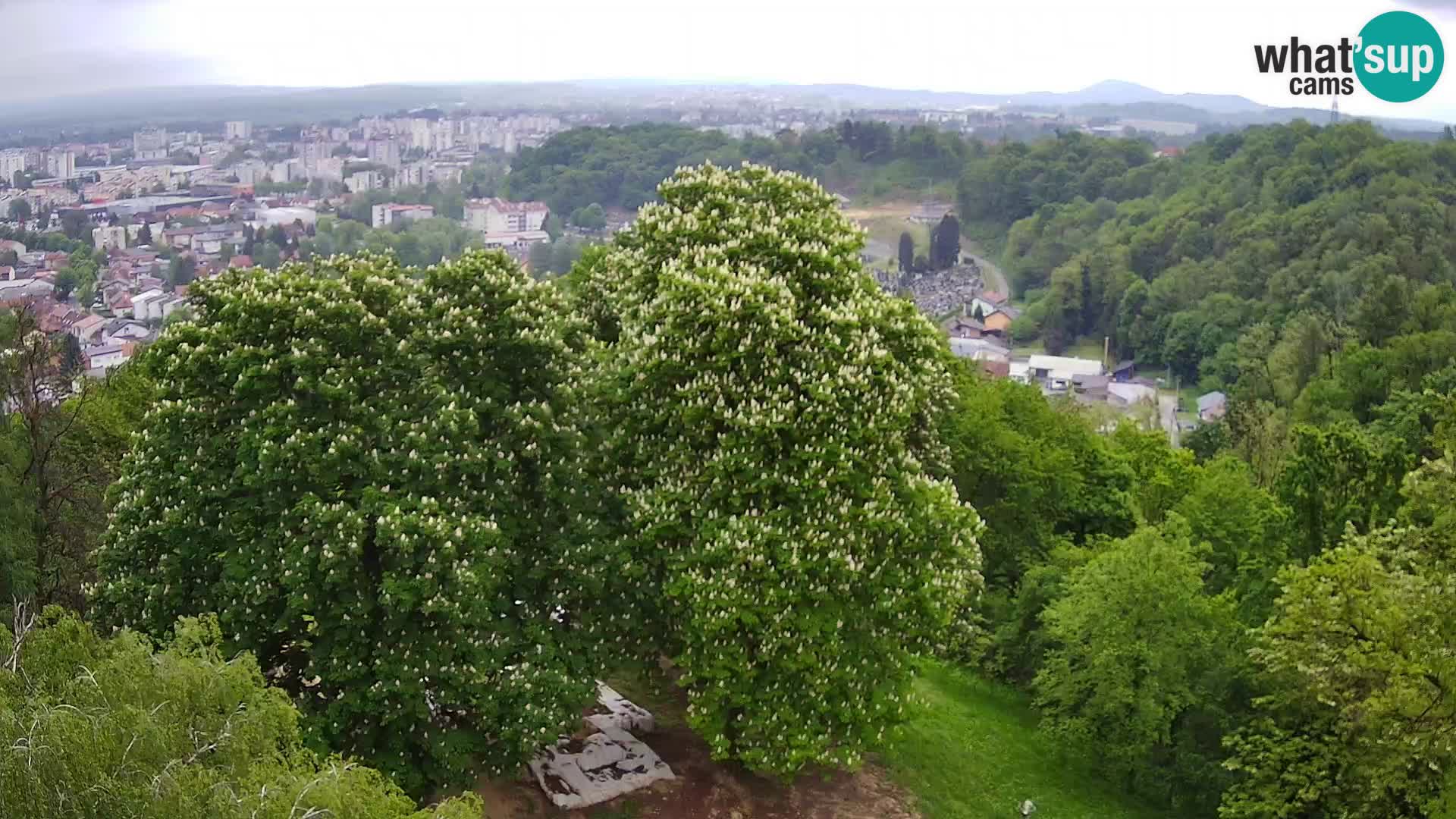 Webcam Karlovac Château Dubovac – Vue en direct de ce monument historique