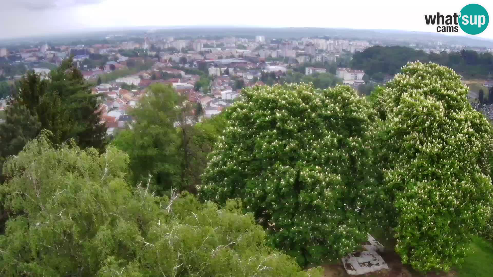 Webcam Karlovac Dubovac Castle – Live View of Karlovac’s Historic Landmark