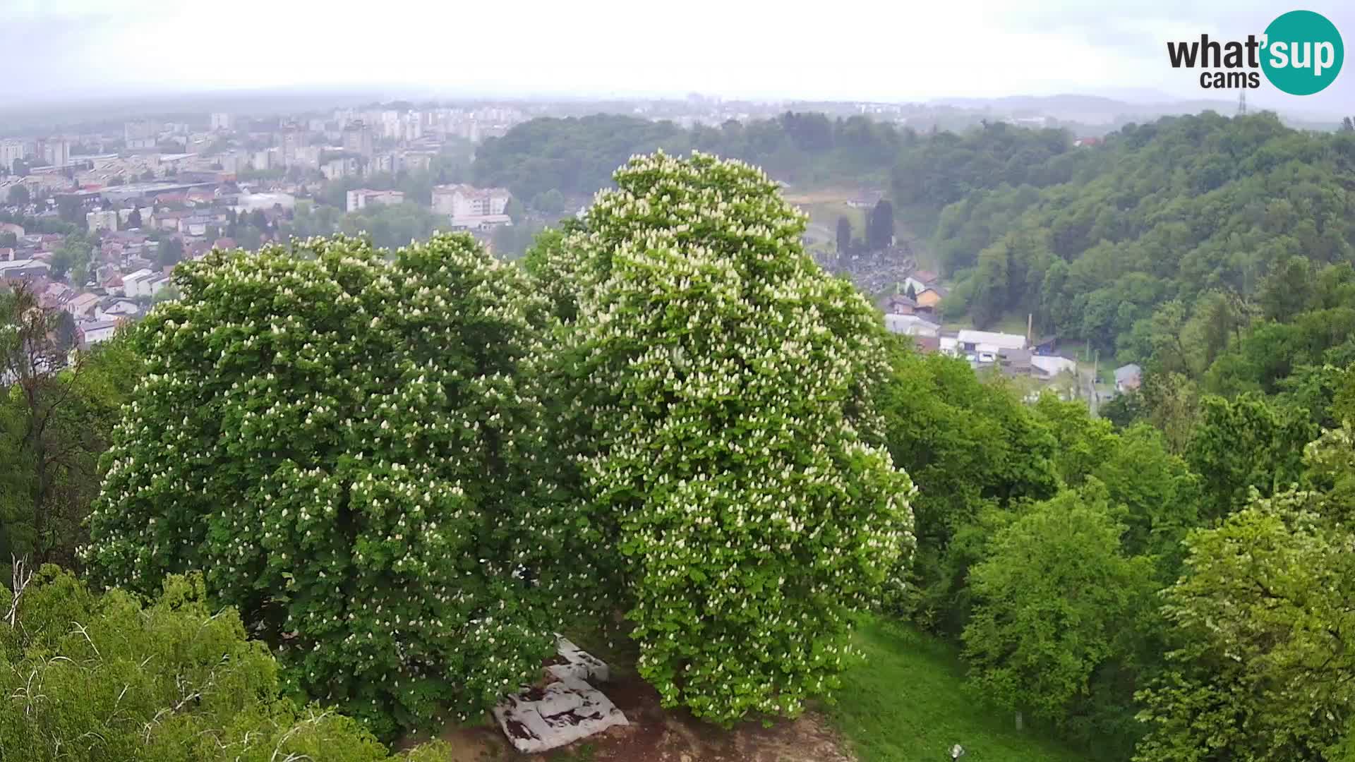 Webcam Castillo Dubovac Karlovac – Vista en directo del histórico castillo