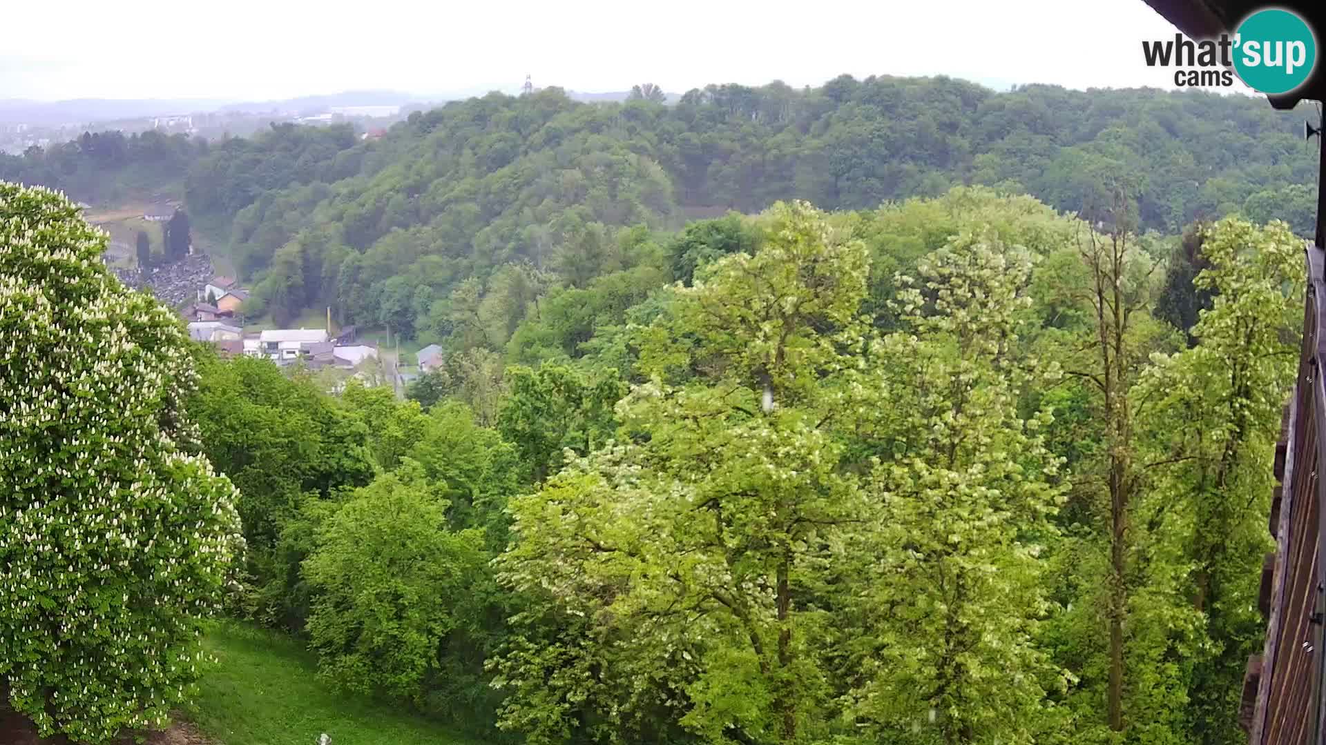 Webcam Castillo Dubovac Karlovac – Vista en directo del histórico castillo