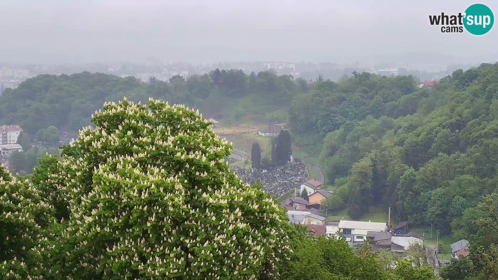Webcam Karlovac Dubovac Castle – Live View of Karlovac’s Historic Landmark