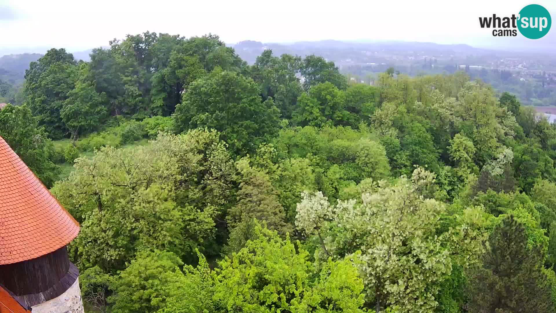 Webcam Karlovac Dubovac Castle – Live View of Karlovac’s Historic Landmark