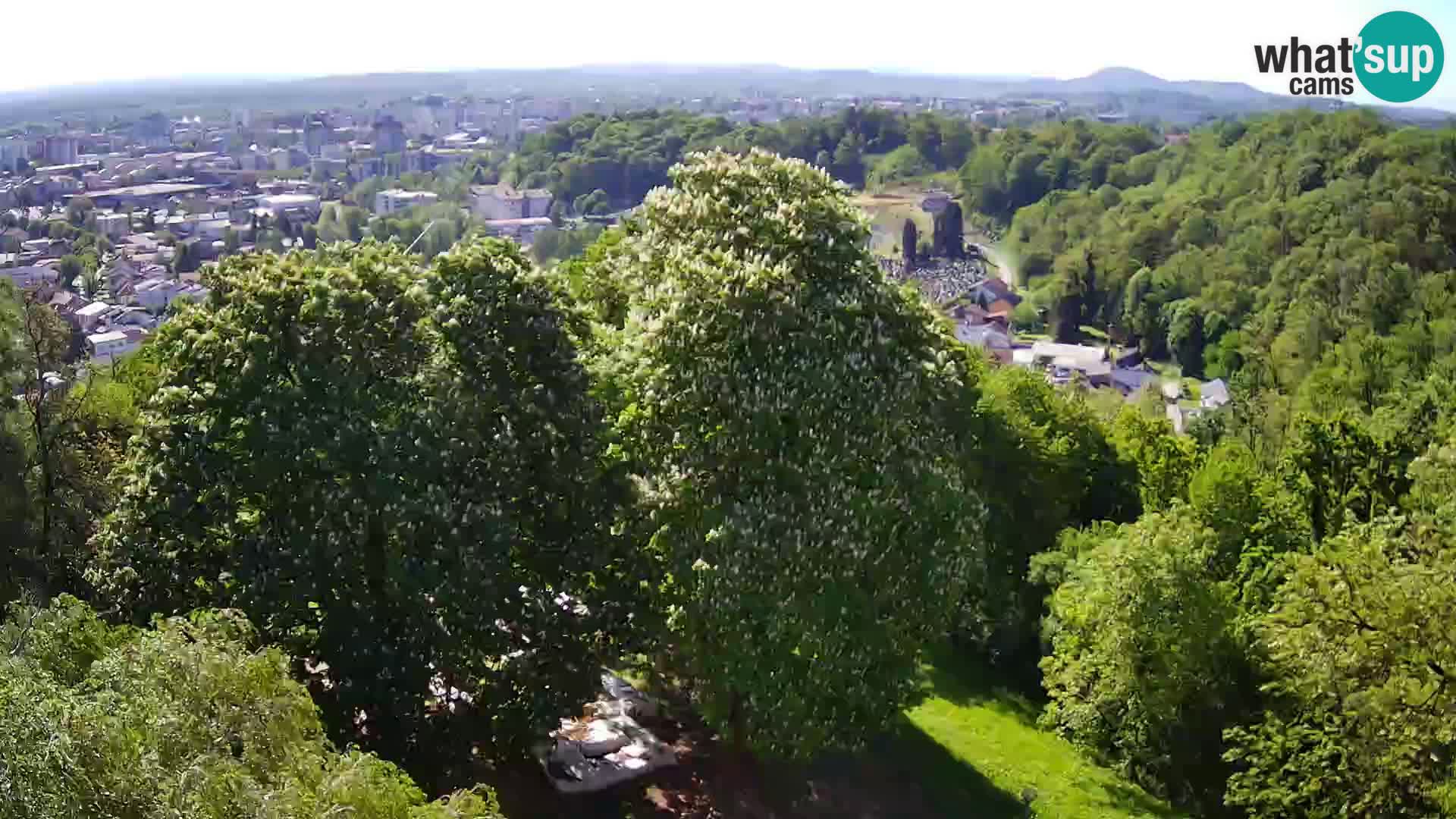 Webcam Karlstadt Burg Dubovac – Liveblick auf das historische Wahrzeichen