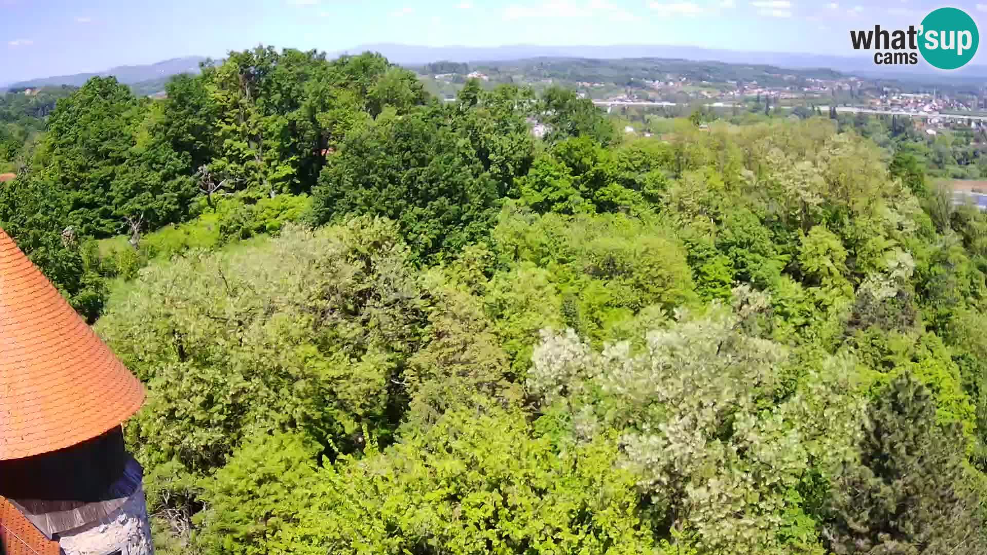 Spletna kamera Karlovac Dubovac grad – Pogled v živo na zgodovinsko znamenitost Karlovca