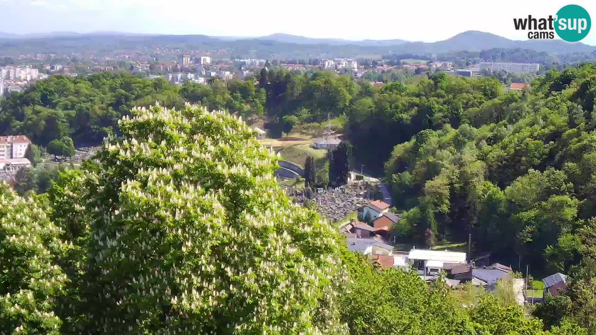 Webcam Karlstadt Burg Dubovac – Liveblick auf das historische Wahrzeichen