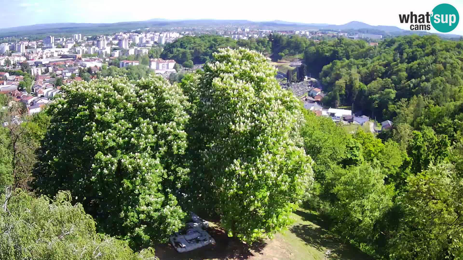 Webcam Castello Dubovac Karlovac – Vista Live sul Castello Storico