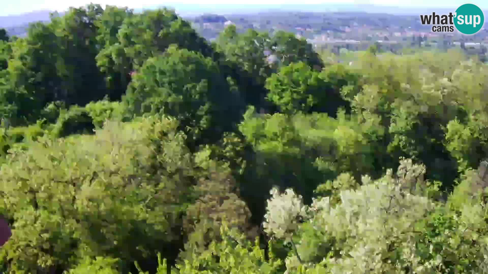 Webcam Karlovac Dubovac Castle – Live View of Karlovac’s Historic Landmark