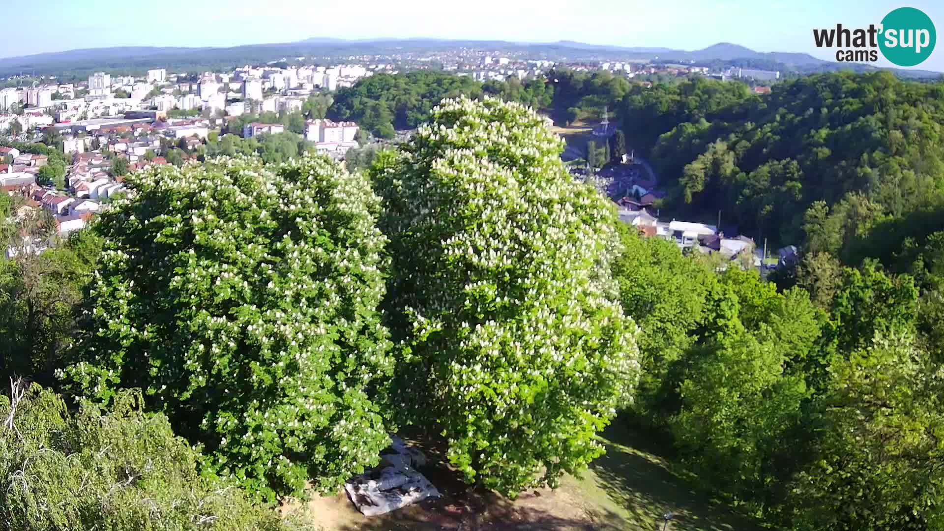 Webcam Karlstadt Burg Dubovac – Liveblick auf das historische Wahrzeichen