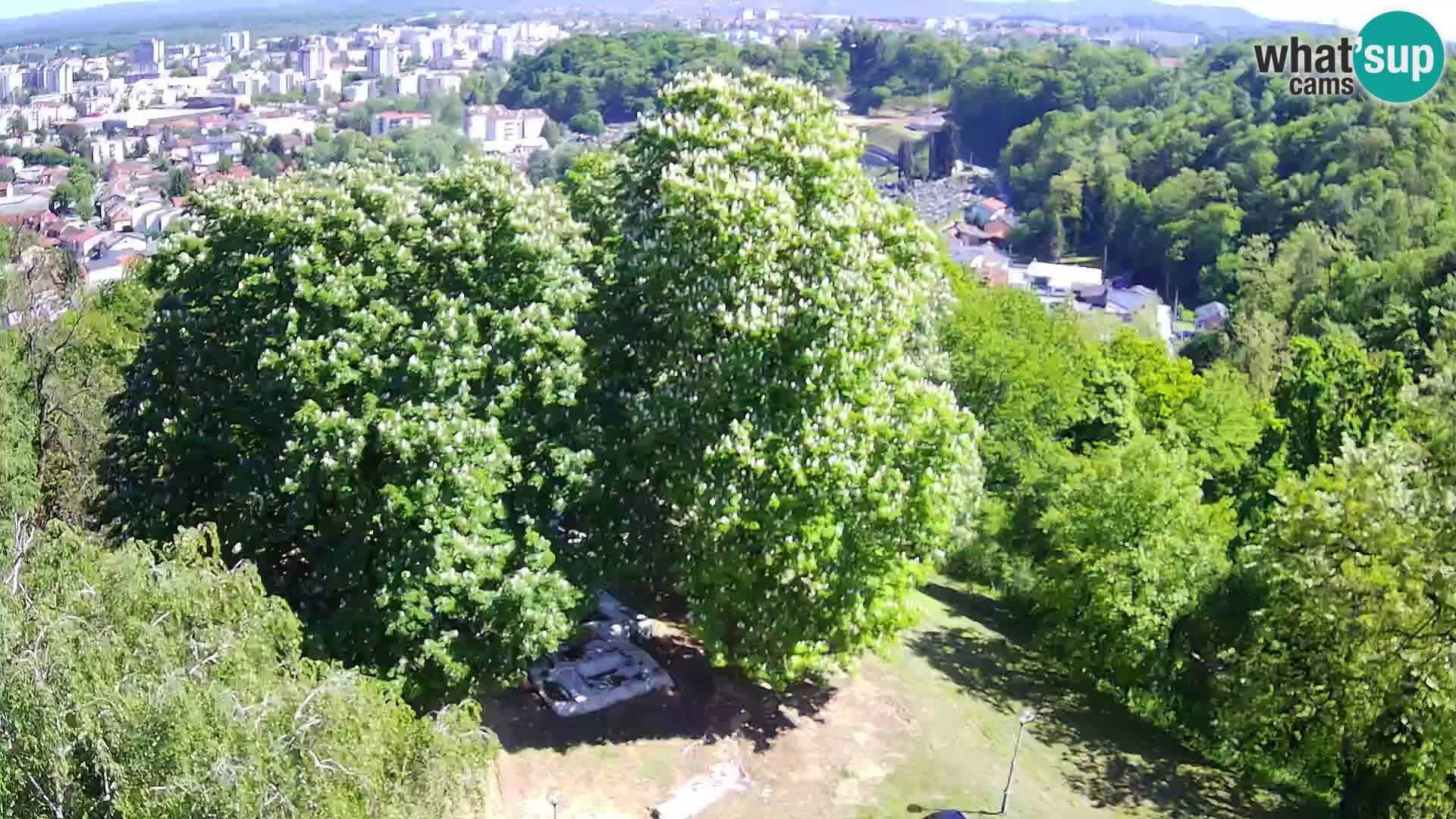 Webcam Karlovac Dubovac Castle – Live View of Karlovac’s Historic Landmark