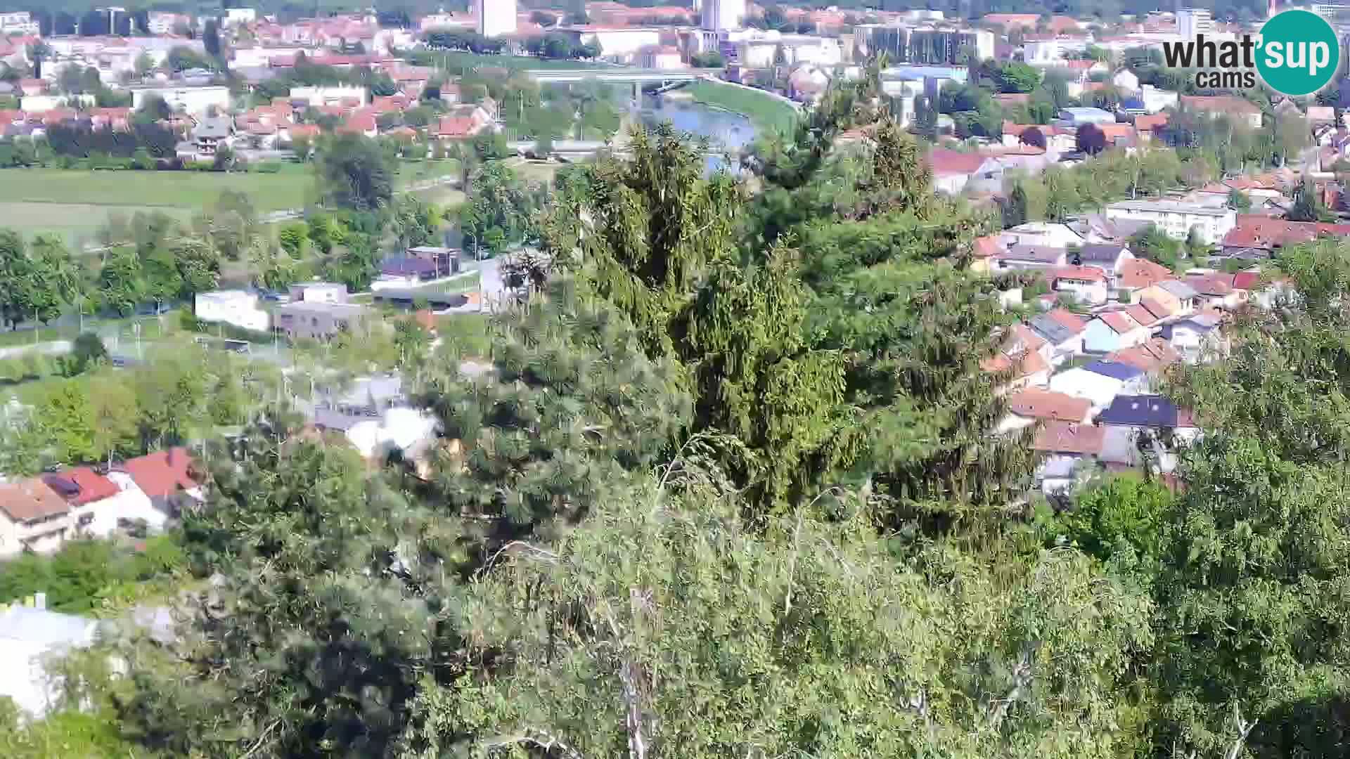 Webcam Karlstadt Burg Dubovac – Liveblick auf das historische Wahrzeichen