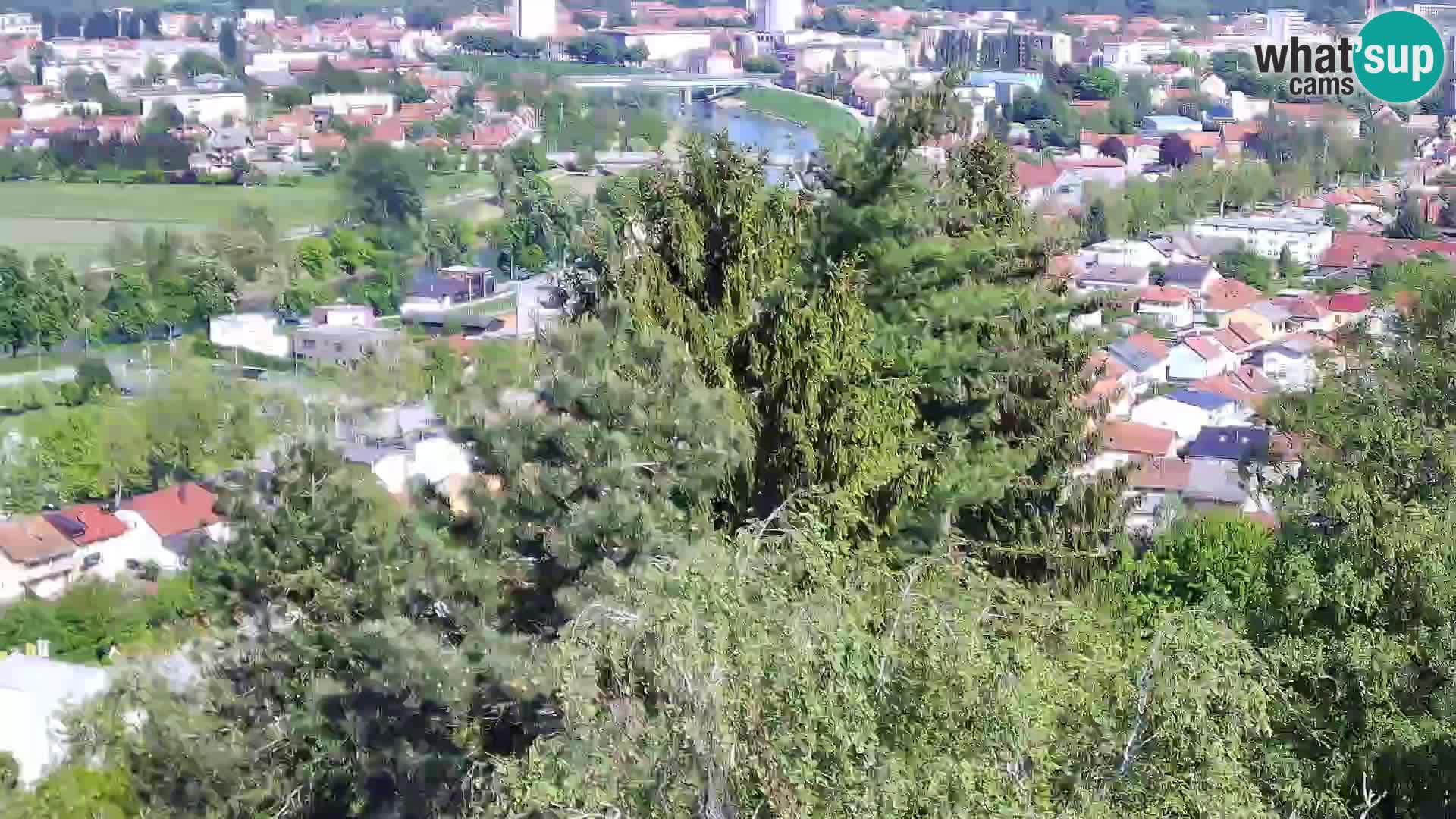 Webcam Castello Dubovac Karlovac – Vista Live sul Castello Storico