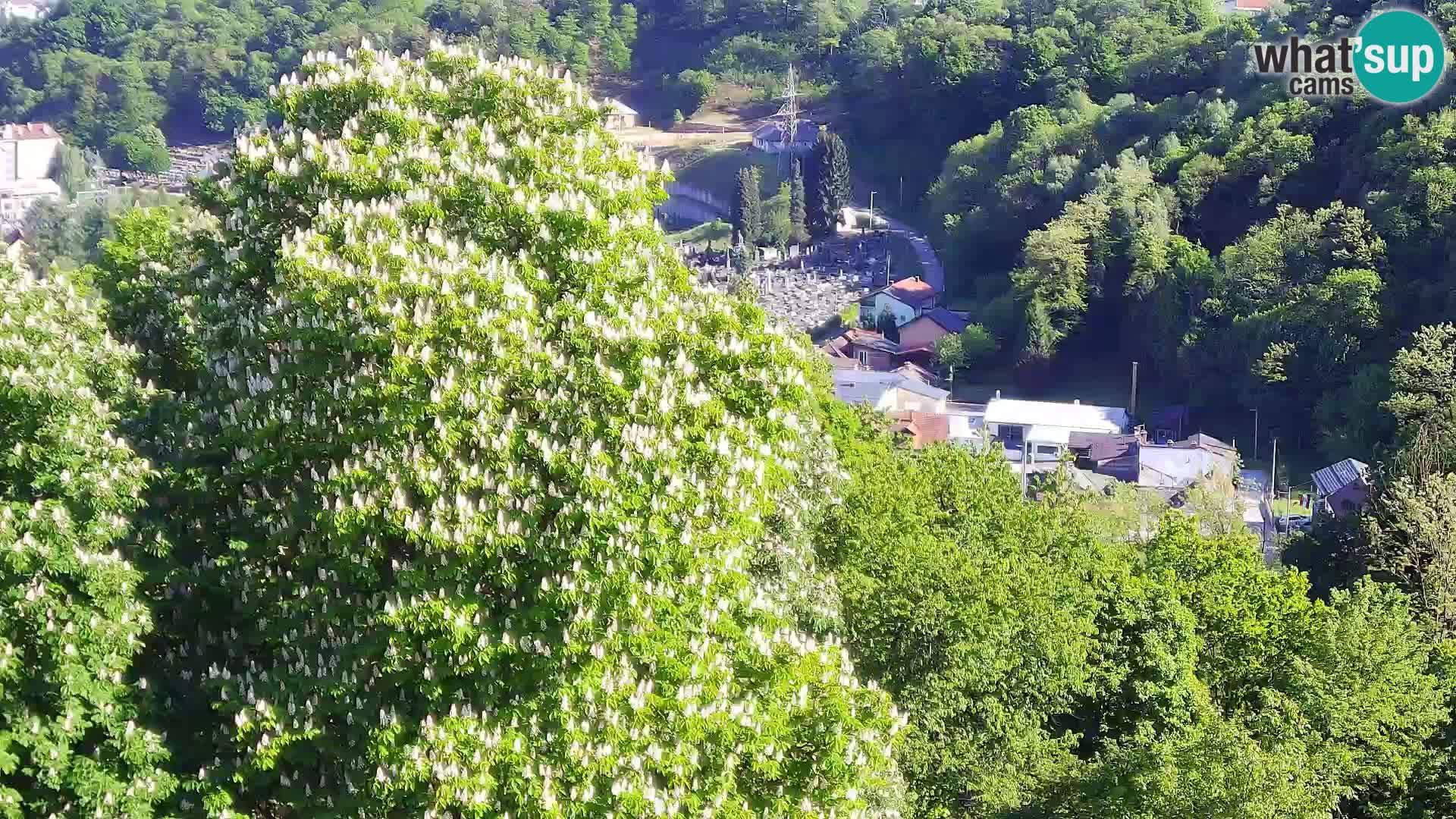 Webcam Karlovac Château Dubovac – Vue en direct de ce monument historique