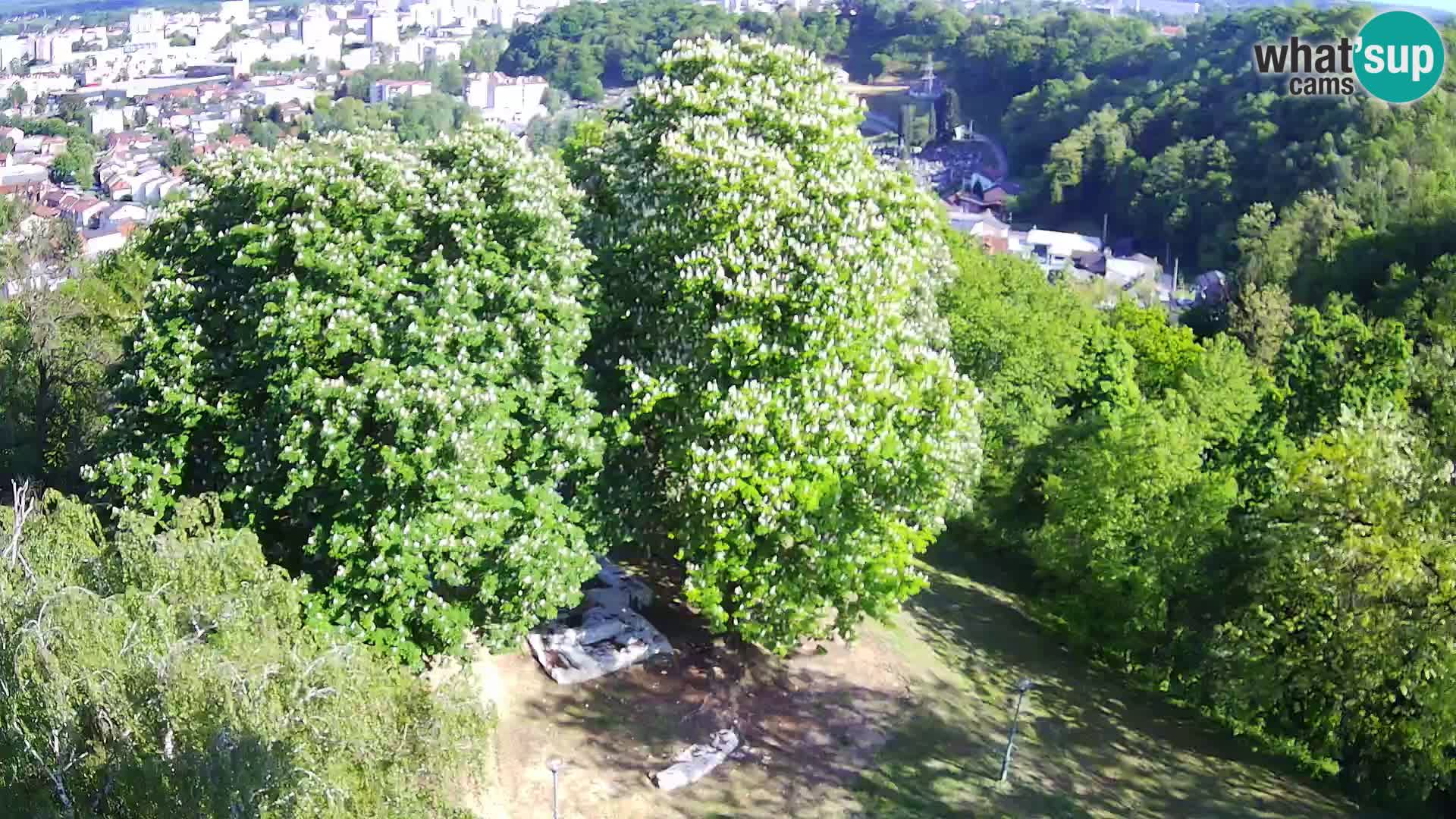 Webcam Karlstadt Burg Dubovac – Liveblick auf das historische Wahrzeichen