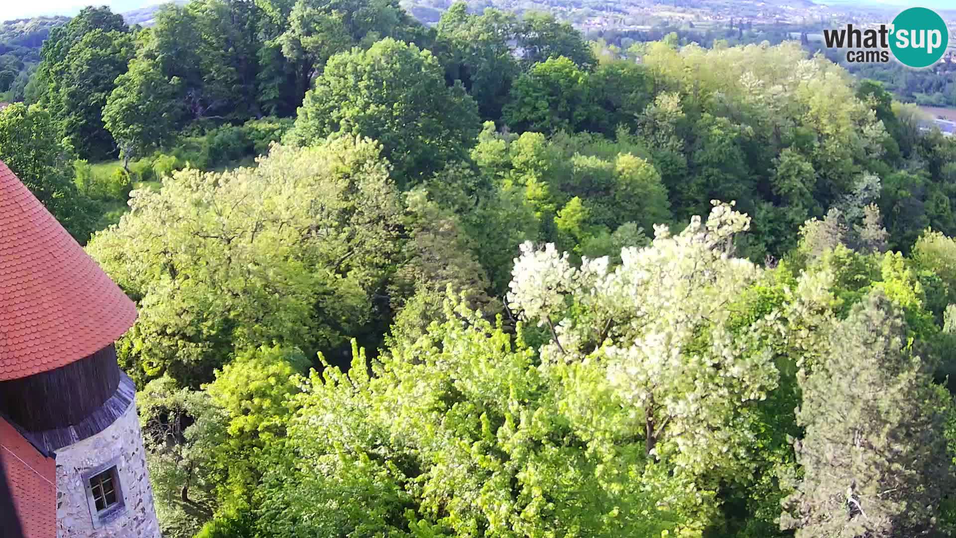 Webcam Castello Dubovac Karlovac – Vista Live sul Castello Storico
