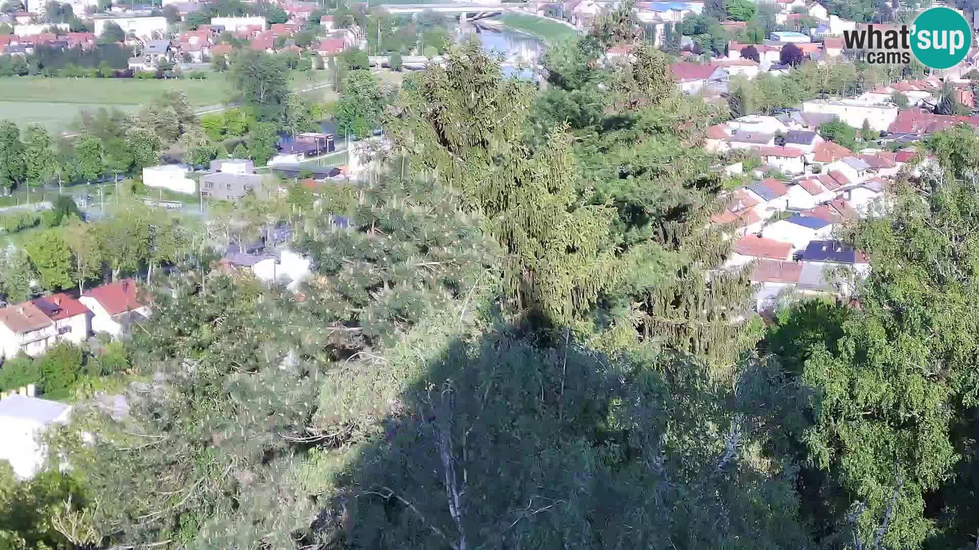 Webcam Castello Dubovac Karlovac – Vista Live sul Castello Storico