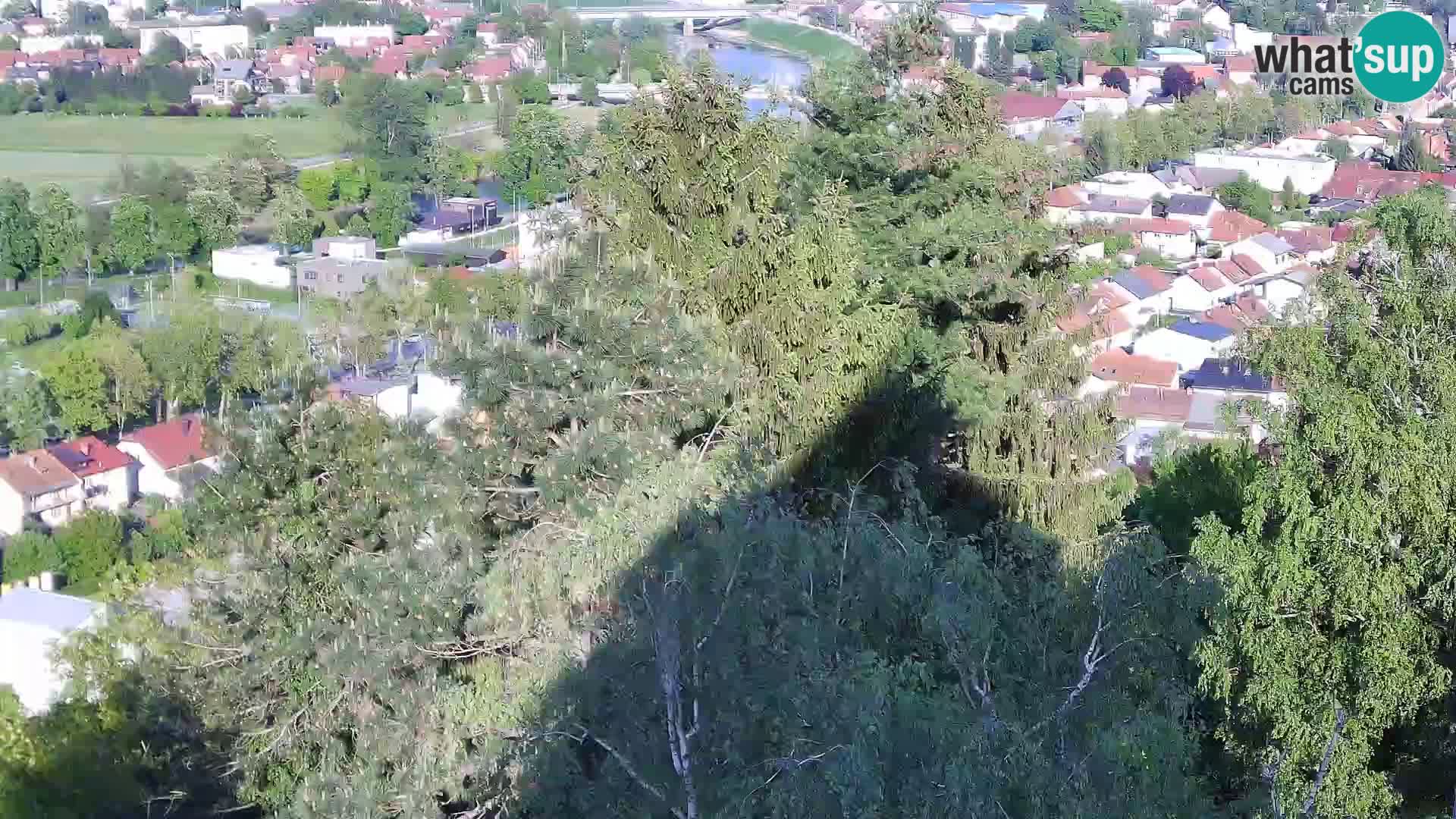 Webcam Karlovac Château Dubovac – Vue en direct de ce monument historique