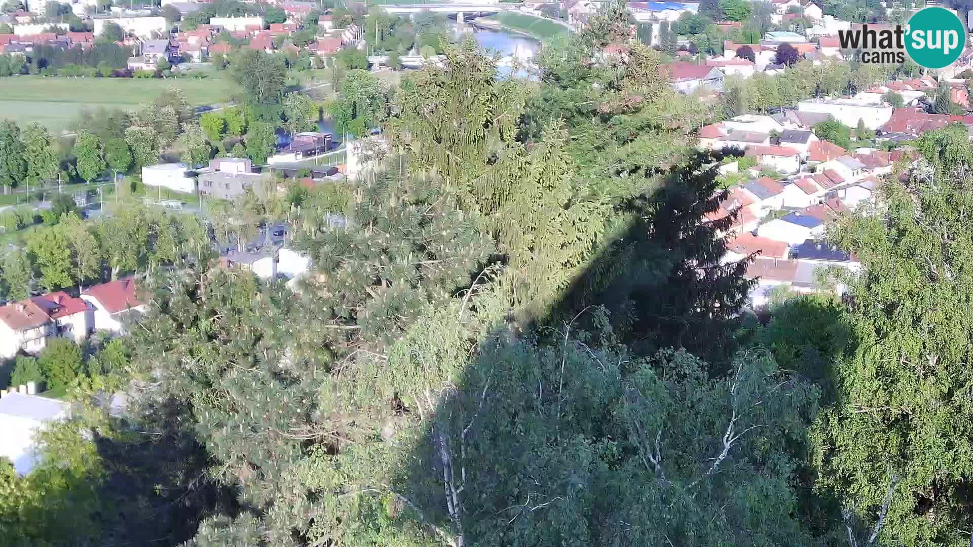 Webcam Castillo Dubovac Karlovac – Vista en directo del histórico castillo
