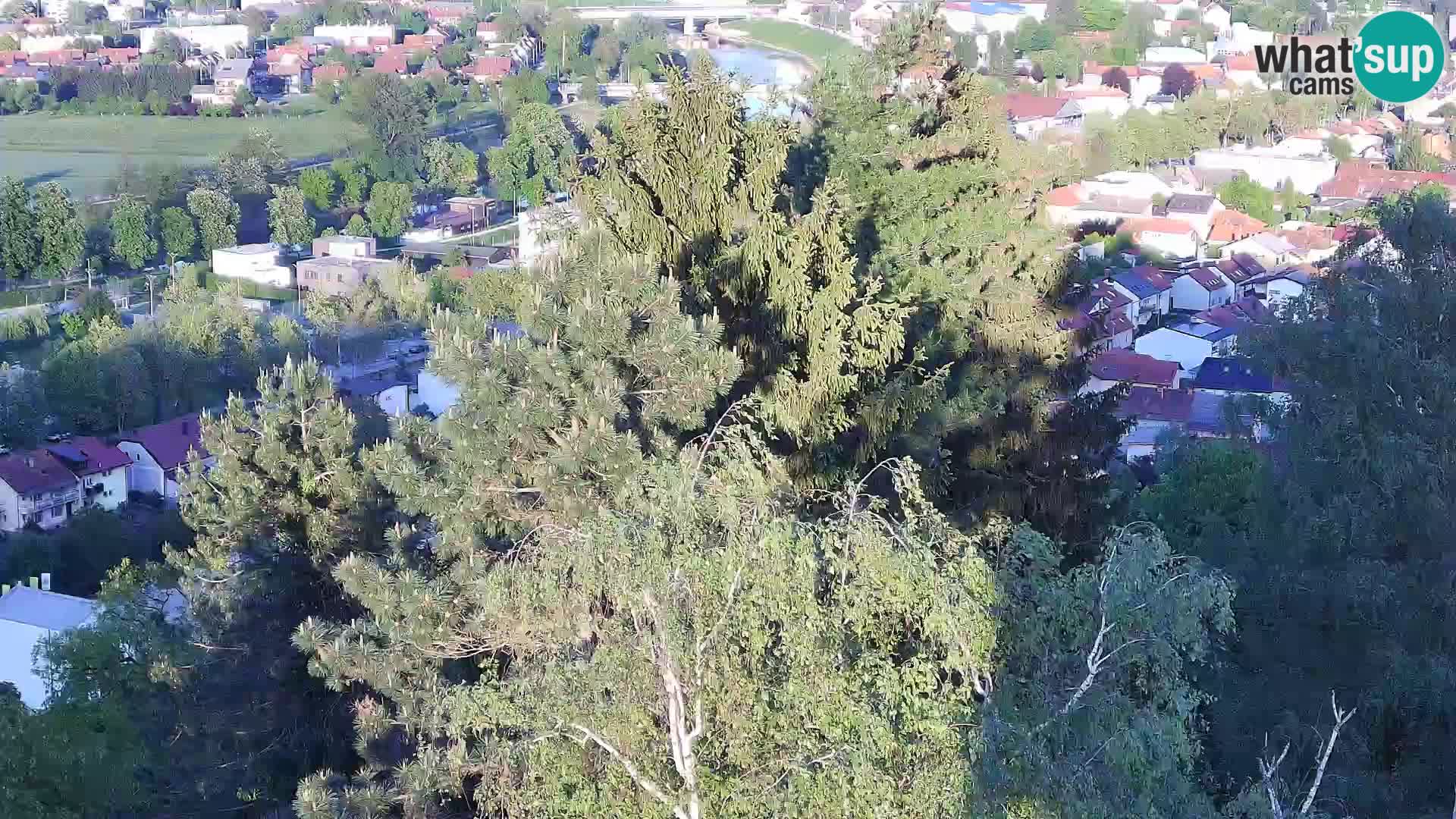 Webcam Castello Dubovac Karlovac – Vista Live sul Castello Storico