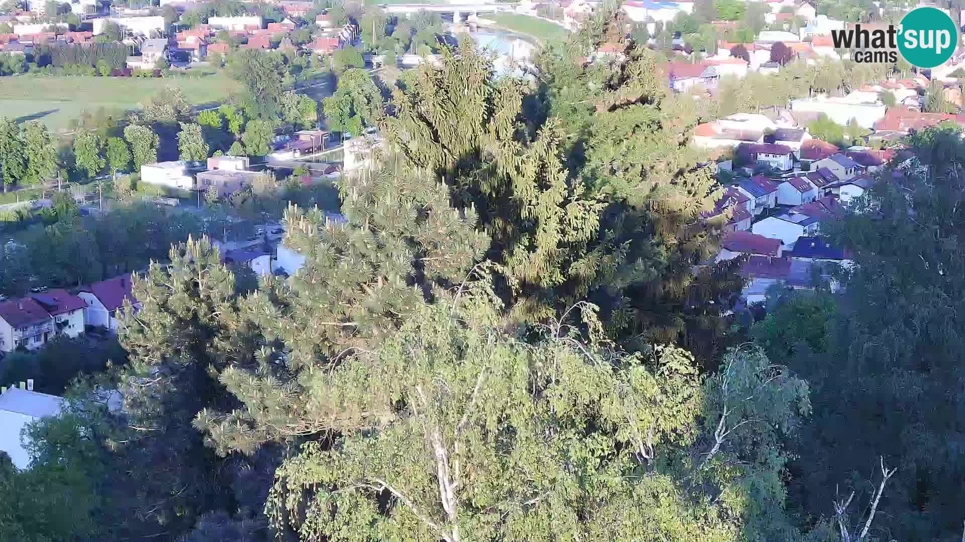 Spletna kamera Karlovac Dubovac grad – Pogled v živo na zgodovinsko znamenitost Karlovca