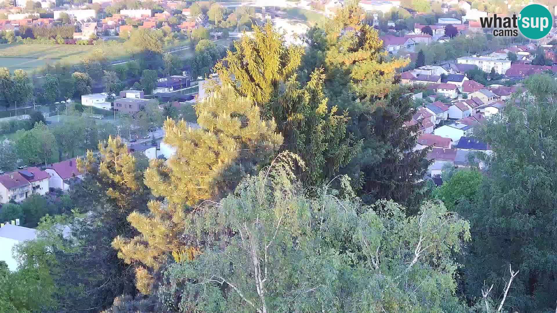 Web kamera Karlovac – Dvorac Dubovac uživo