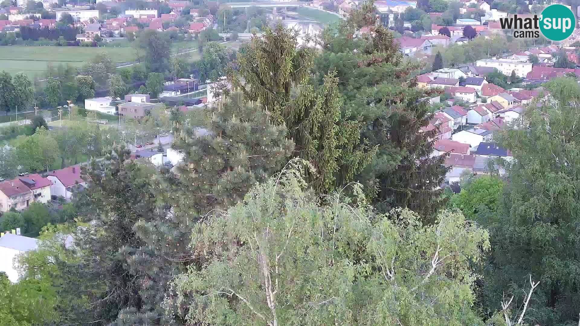 Webcam Karlovac Château Dubovac – Vue en direct de ce monument historique