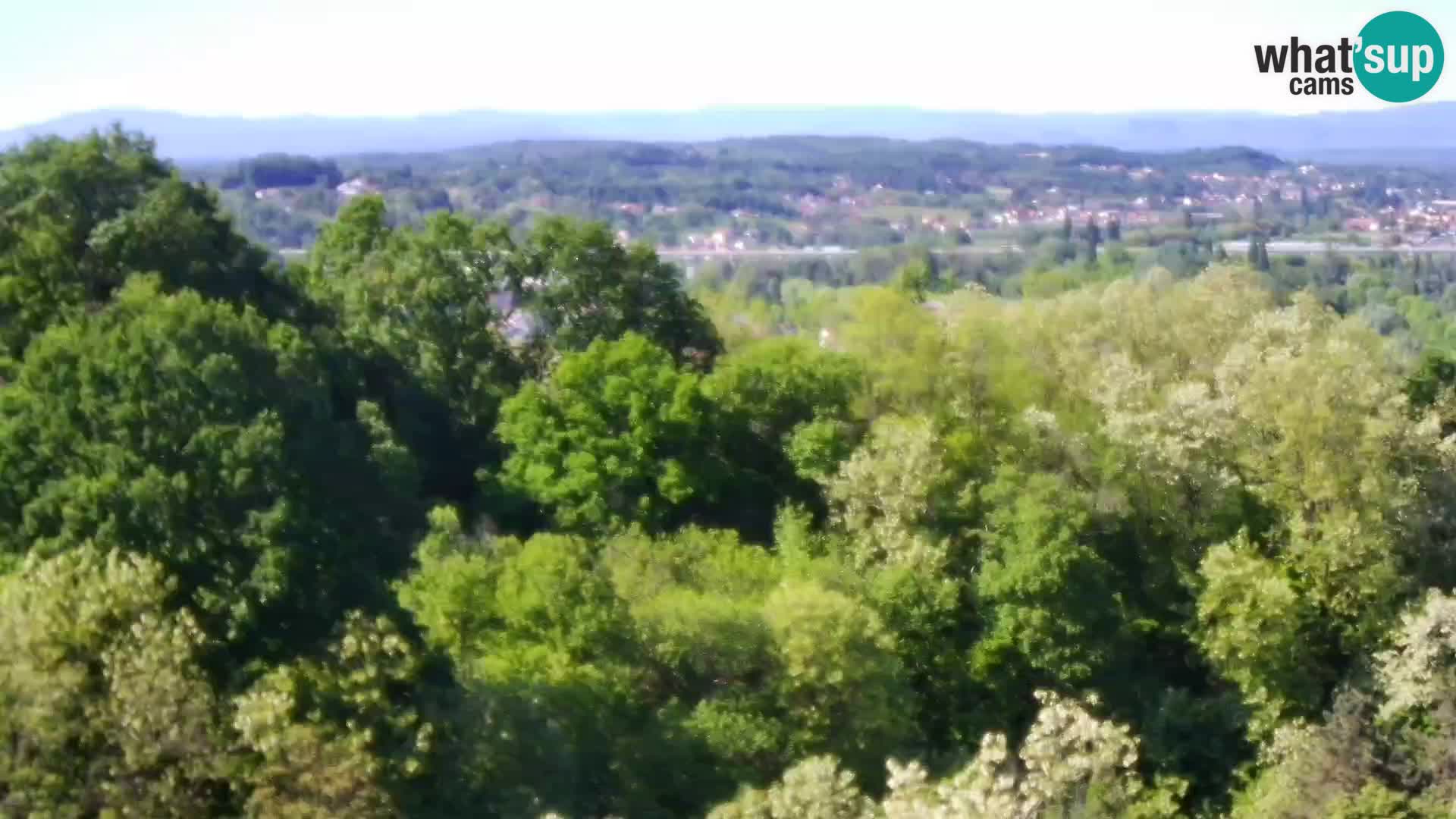 Spletna kamera Karlovac Dubovac grad – Pogled v živo na zgodovinsko znamenitost Karlovca
