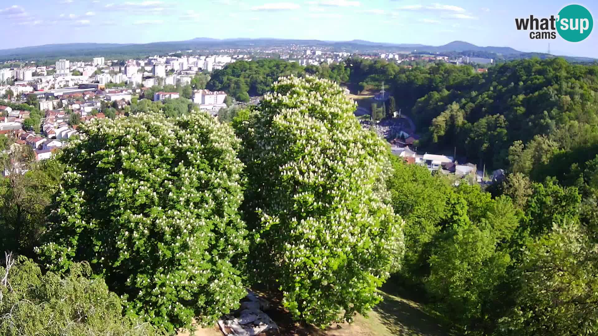 Webcam Karlovac Dubovac Castle – Live View of Karlovac’s Historic Landmark