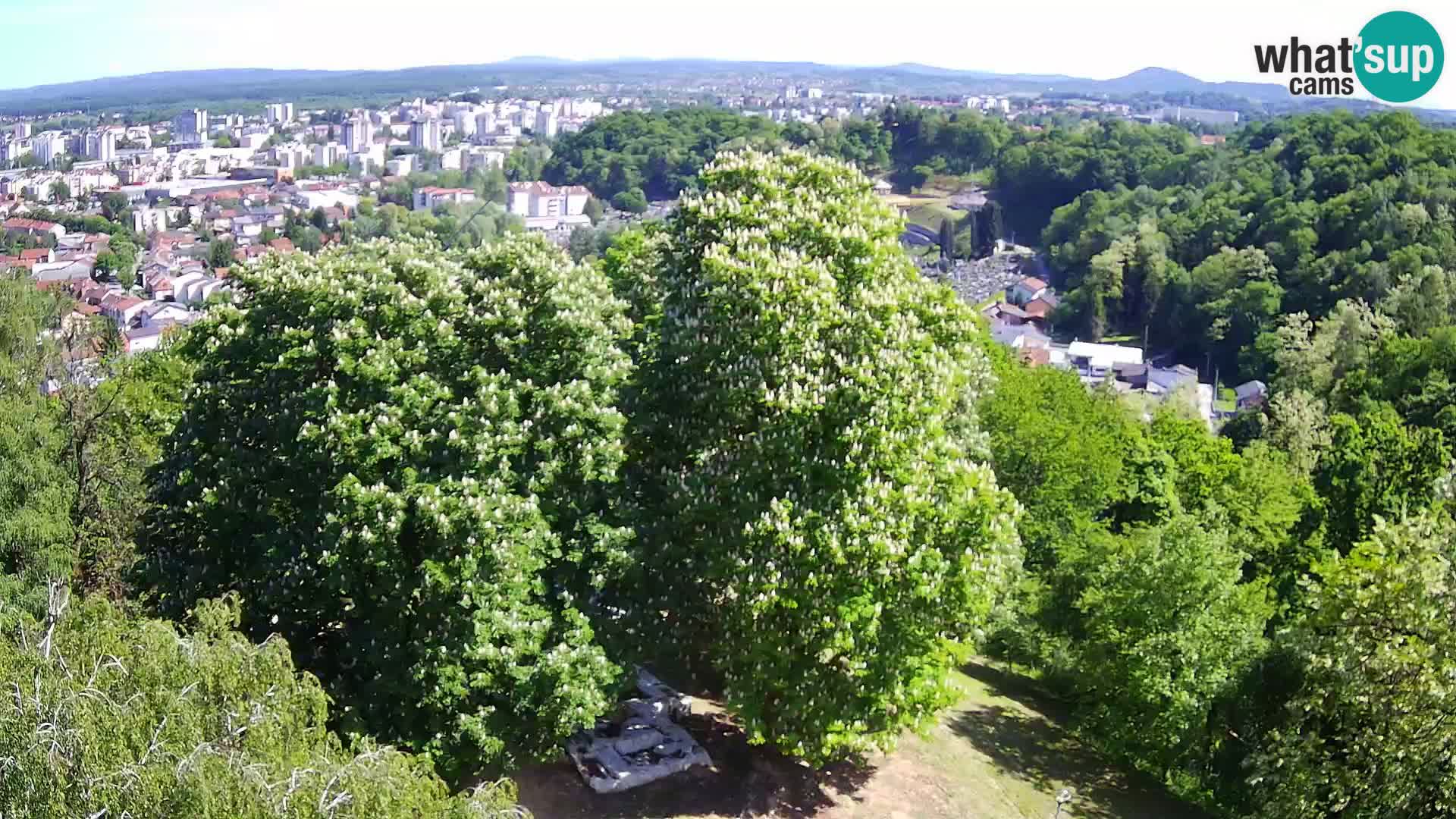 Webcam Castello Dubovac Karlovac – Vista Live sul Castello Storico