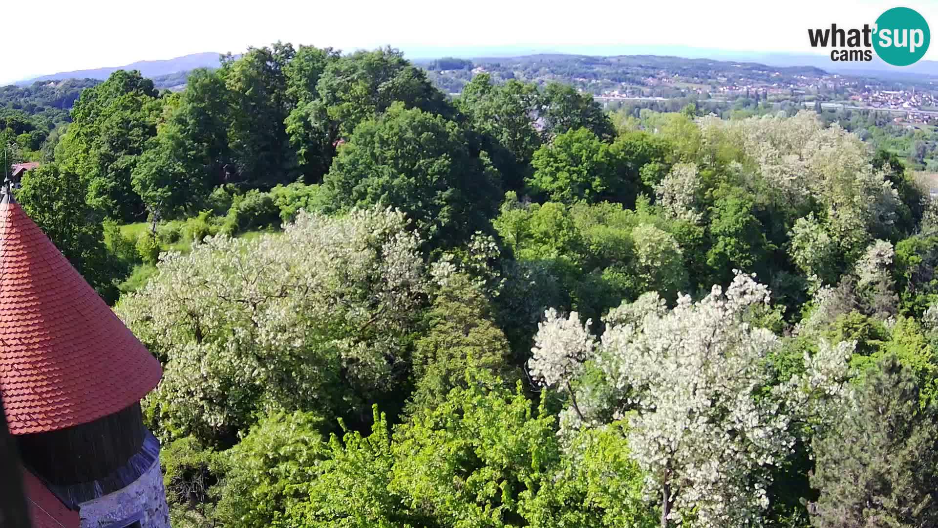 Spletna kamera Karlovac Dubovac grad – Pogled v živo na zgodovinsko znamenitost Karlovca