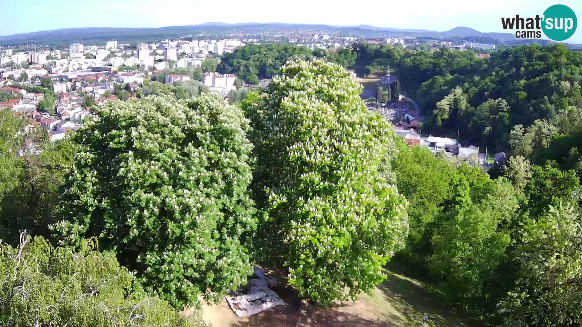 Webcam Karlstadt Burg Dubovac – Liveblick auf das historische Wahrzeichen