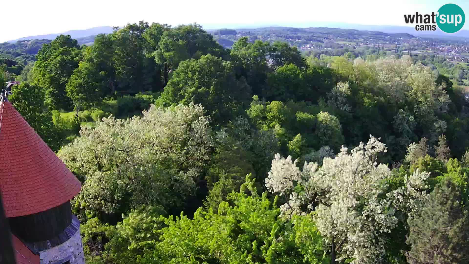 Webcam Karlstadt Burg Dubovac – Liveblick auf das historische Wahrzeichen