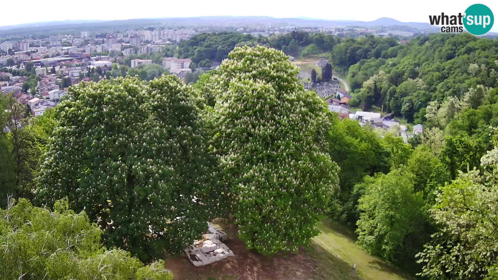 Webcam Castello Dubovac Karlovac – Vista Live sul Castello Storico
