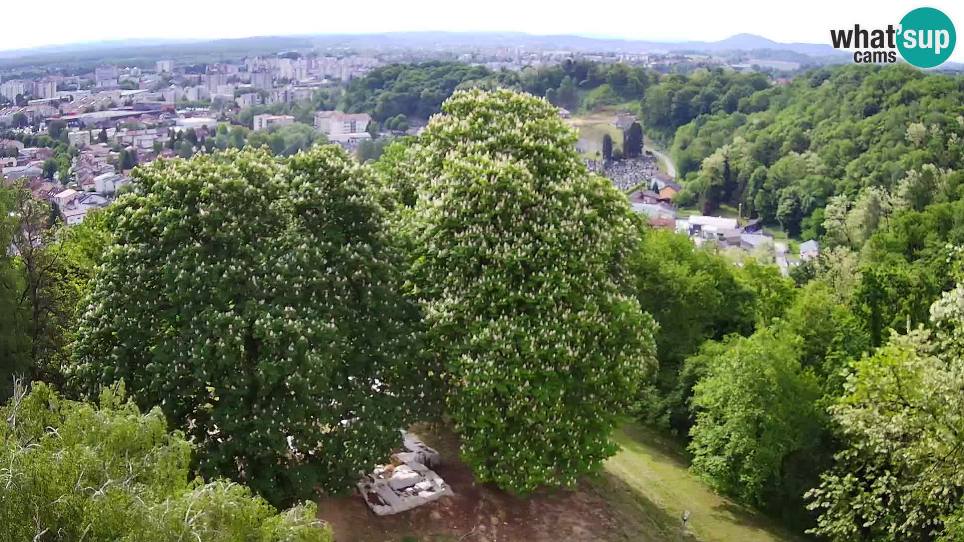 Webcam Karlovac Dubovac Castle – Live View of Karlovac’s Historic Landmark