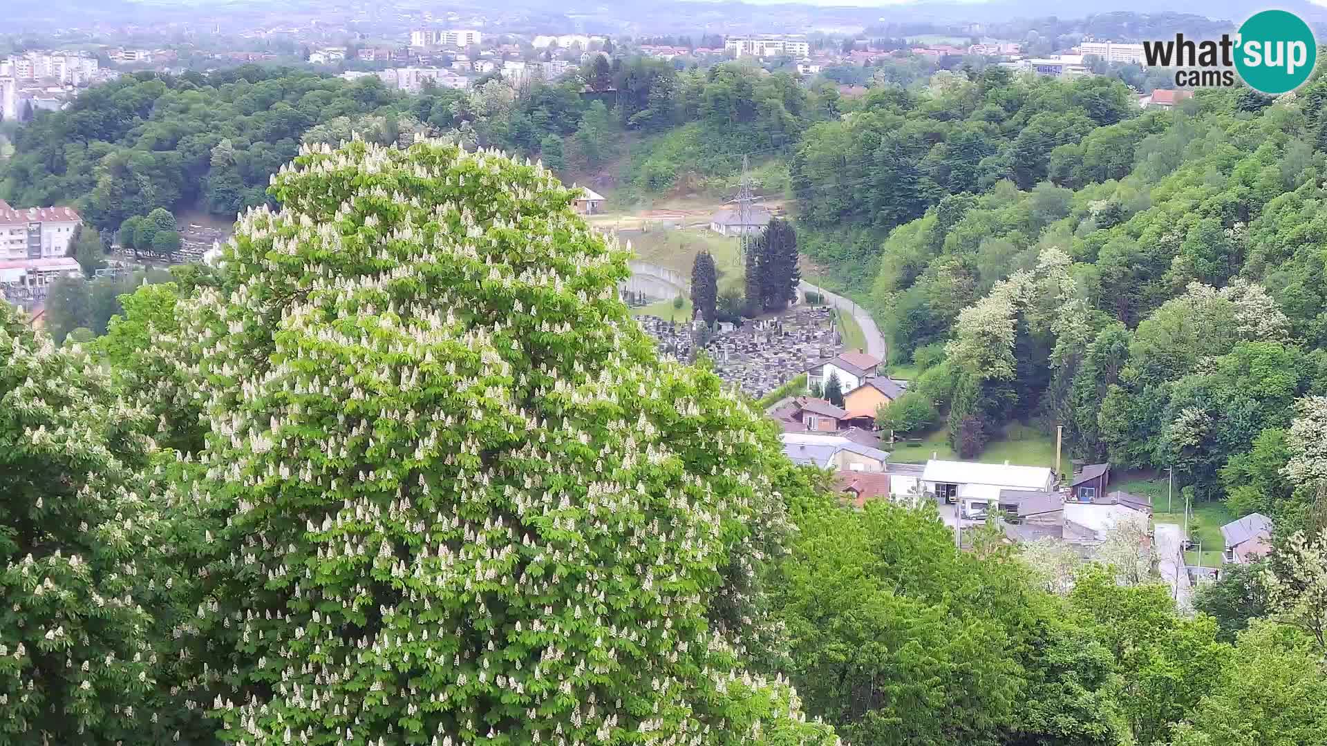 Spletna kamera Karlovac Dubovac grad – Pogled v živo na zgodovinsko znamenitost Karlovca