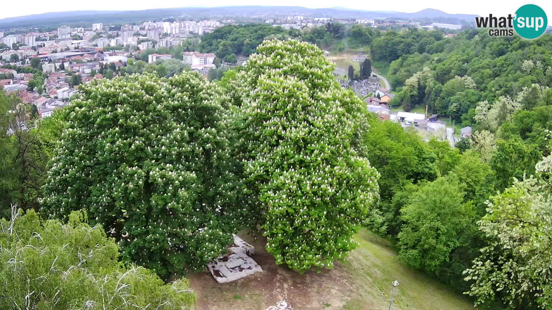 Webcam Karlovac Dubovac Castle – Live View of Karlovac’s Historic Landmark