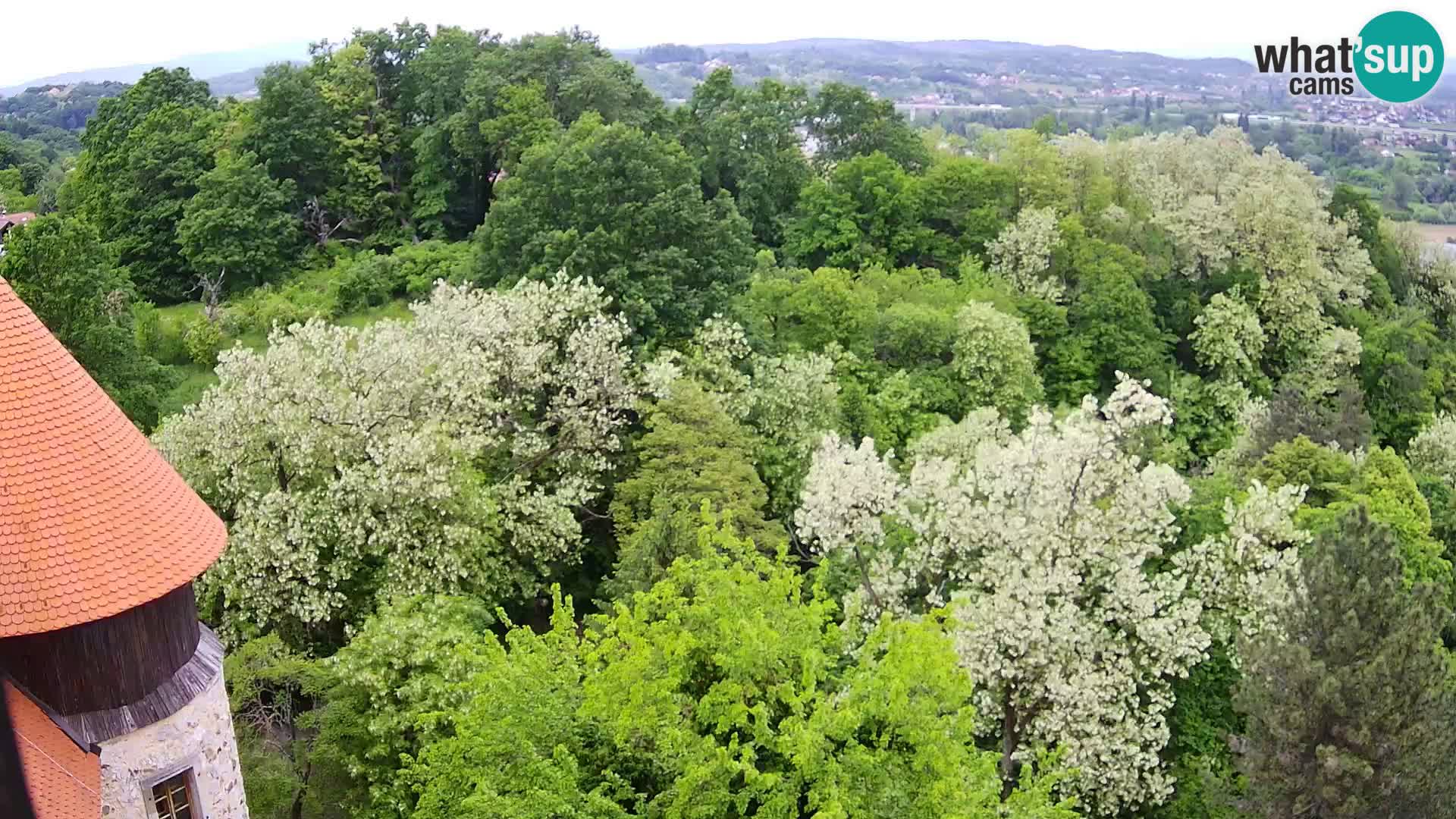 Webcam Karlstadt Burg Dubovac – Liveblick auf das historische Wahrzeichen