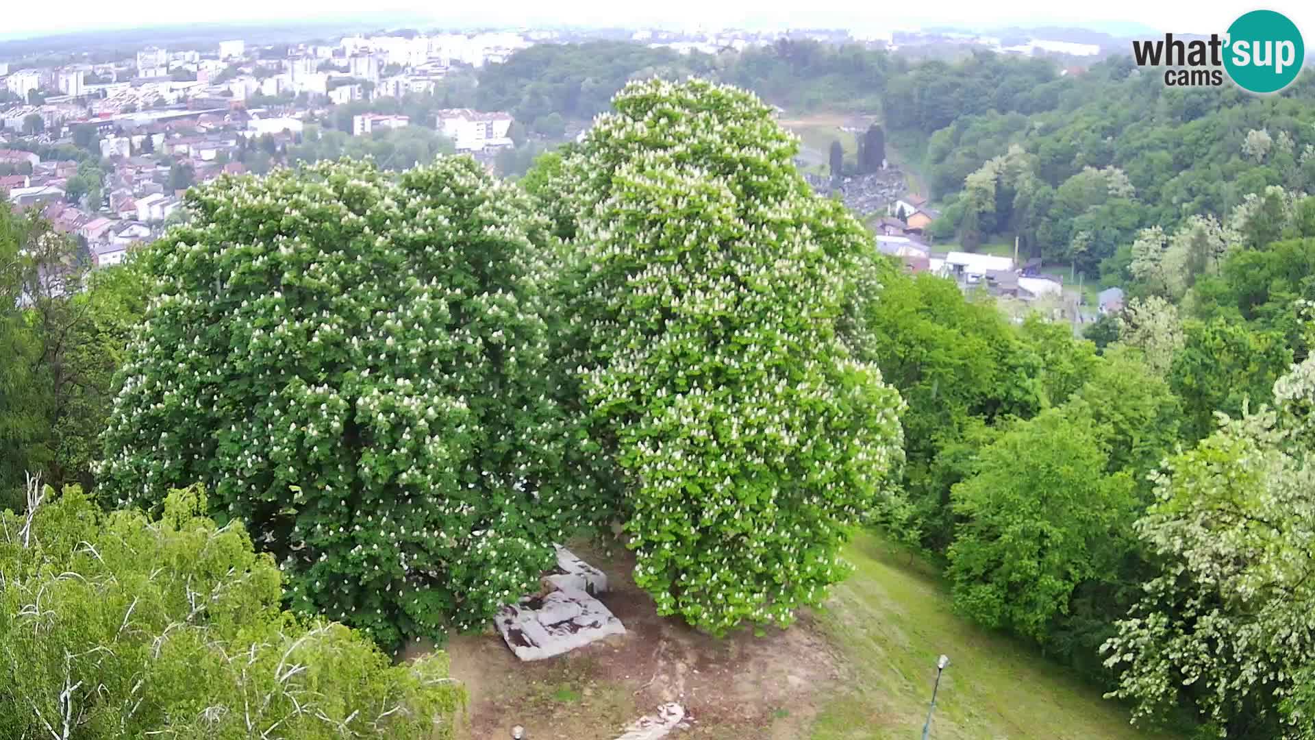 Spletna kamera Karlovac Dubovac grad – Pogled v živo na zgodovinsko znamenitost Karlovca