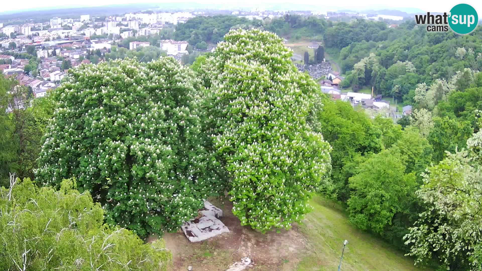 Webcam Karlovac Dubovac Castle – Live View of Karlovac’s Historic Landmark