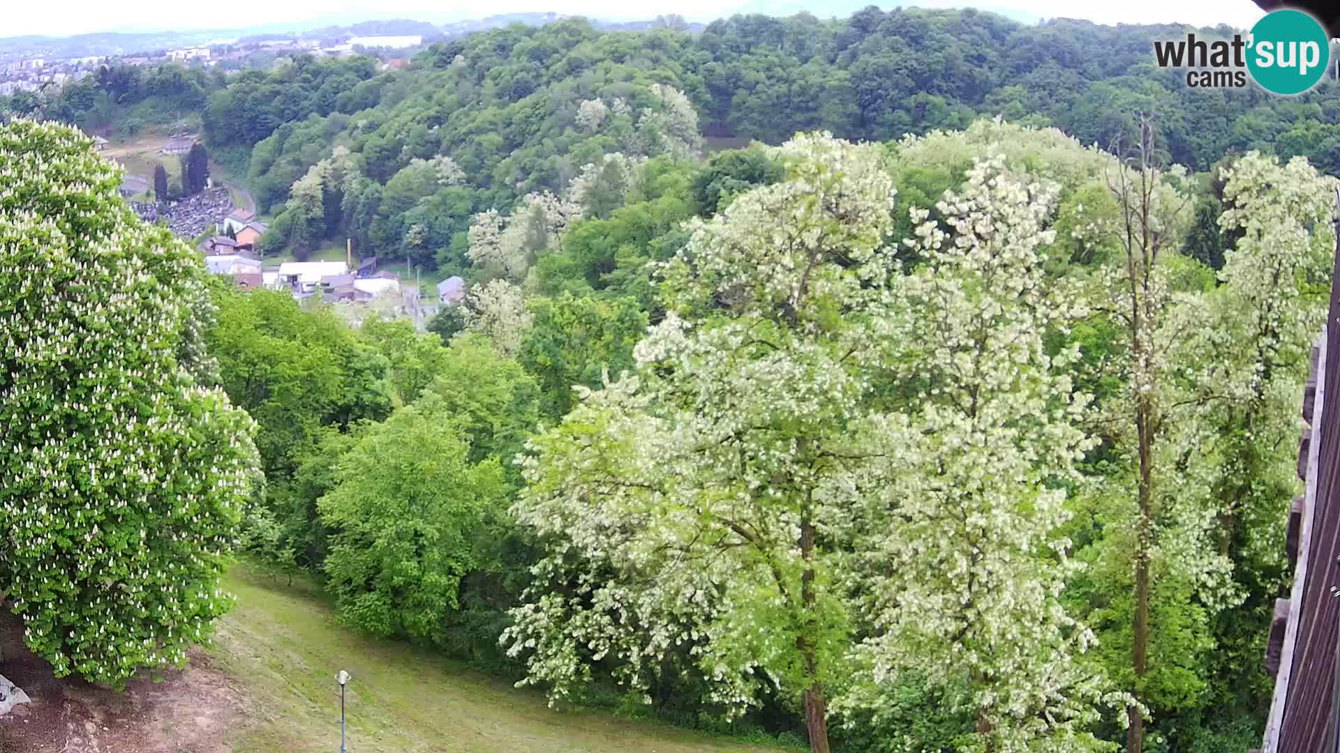 Web kamera Karlovac – Dvorac Dubovac uživo