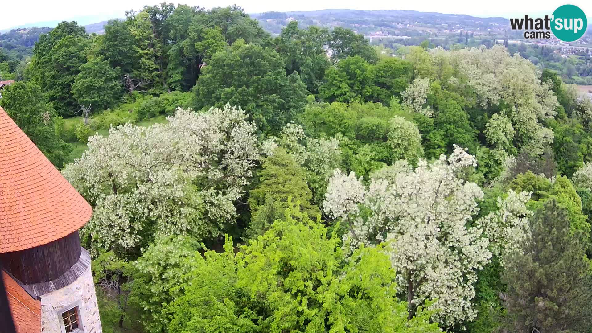 Webcam Karlovac Dubovac Castle – Live View of Karlovac’s Historic Landmark