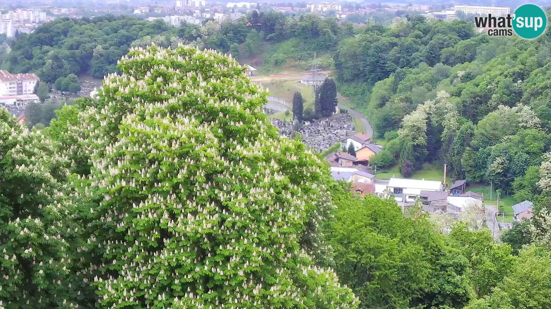 Webcam Karlovac Dubovac Castle – Live View of Karlovac’s Historic Landmark