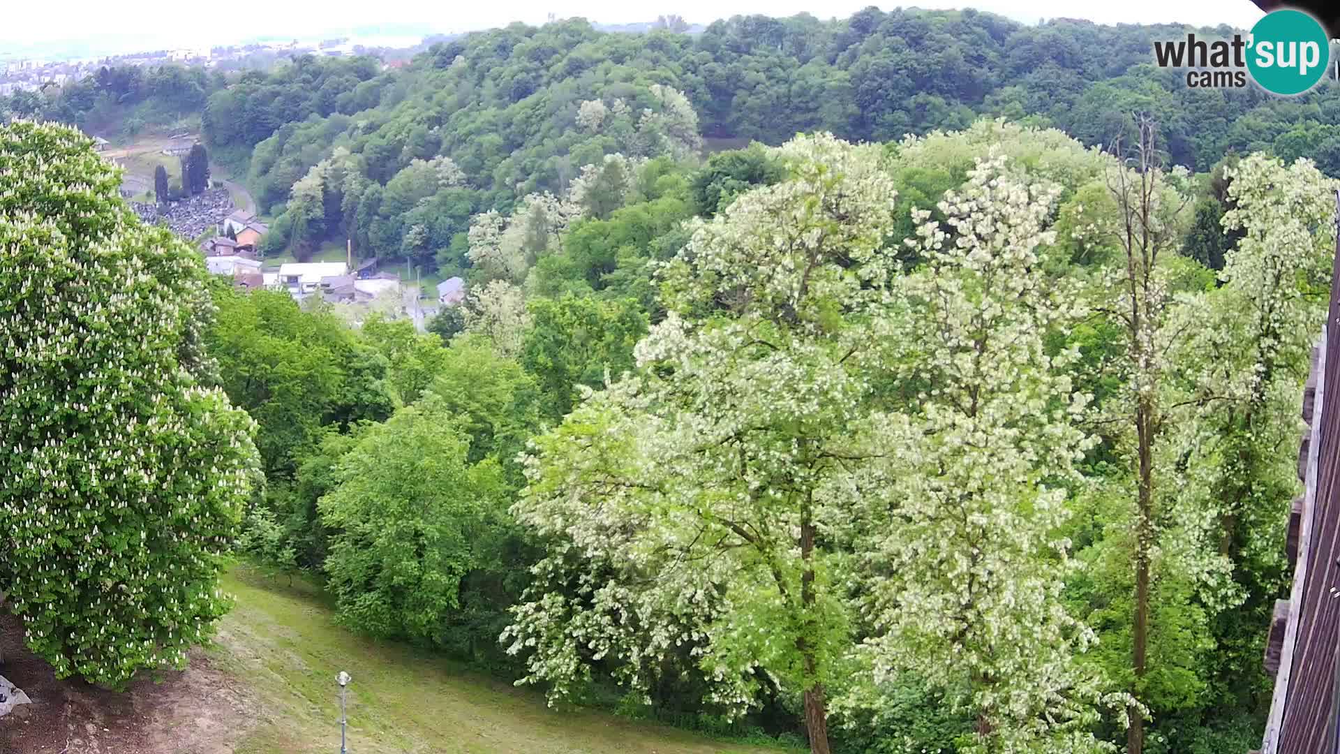 Webcam Karlovac Château Dubovac – Vue en direct de ce monument historique