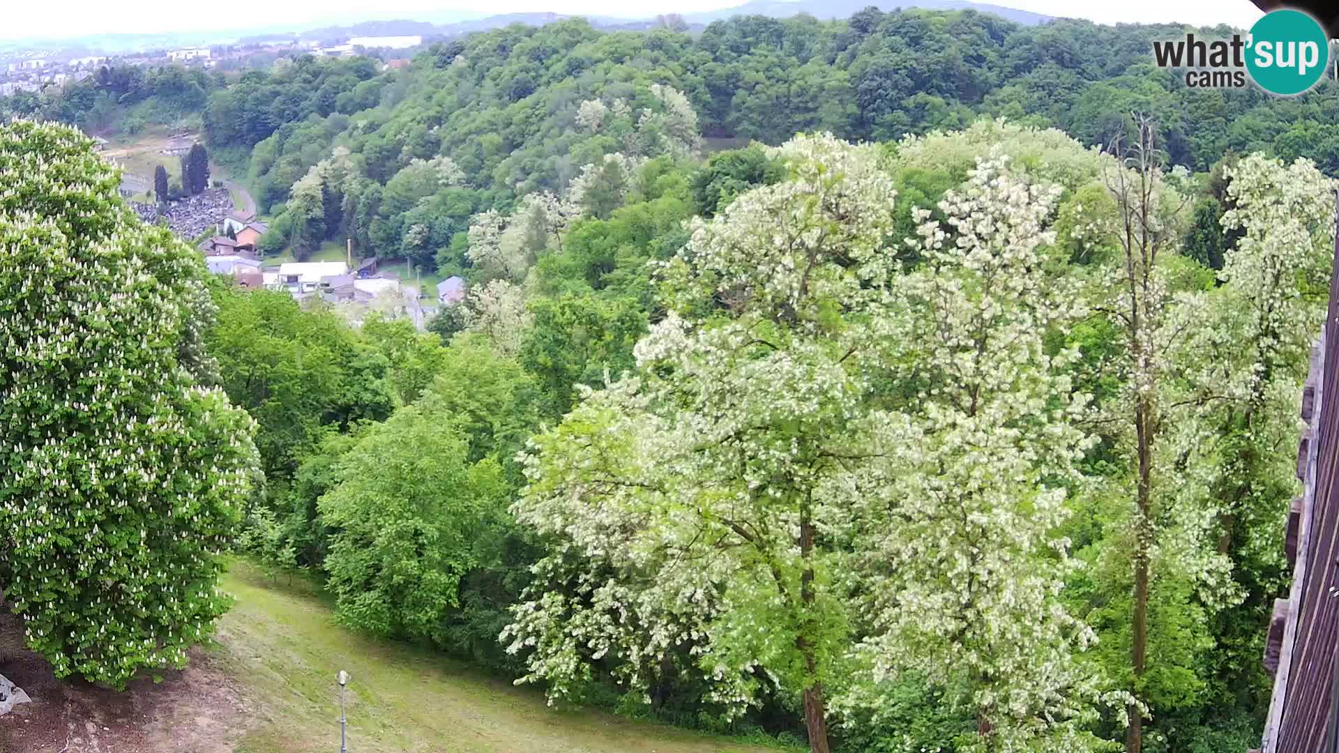 Webcam Karlovac Dubovac Castle – Live View of Karlovac’s Historic Landmark