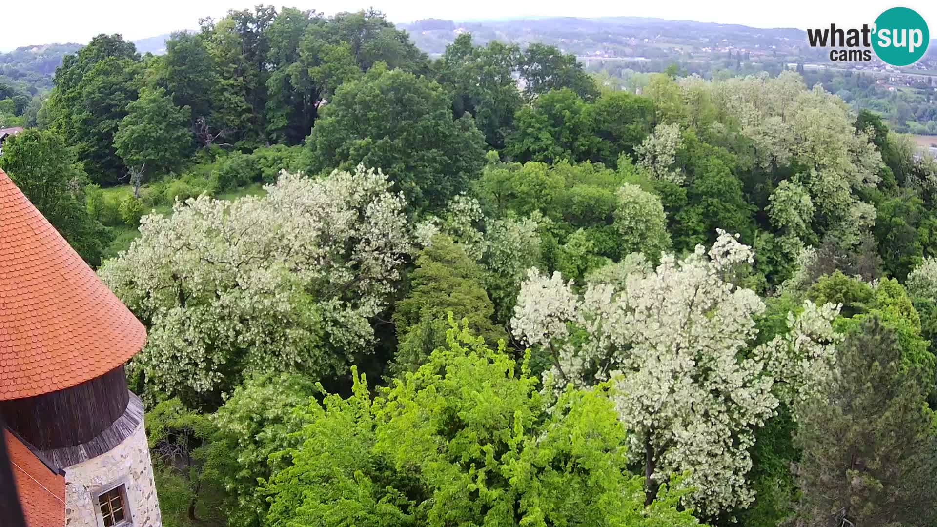 Webcam Castillo Dubovac Karlovac – Vista en directo del histórico castillo