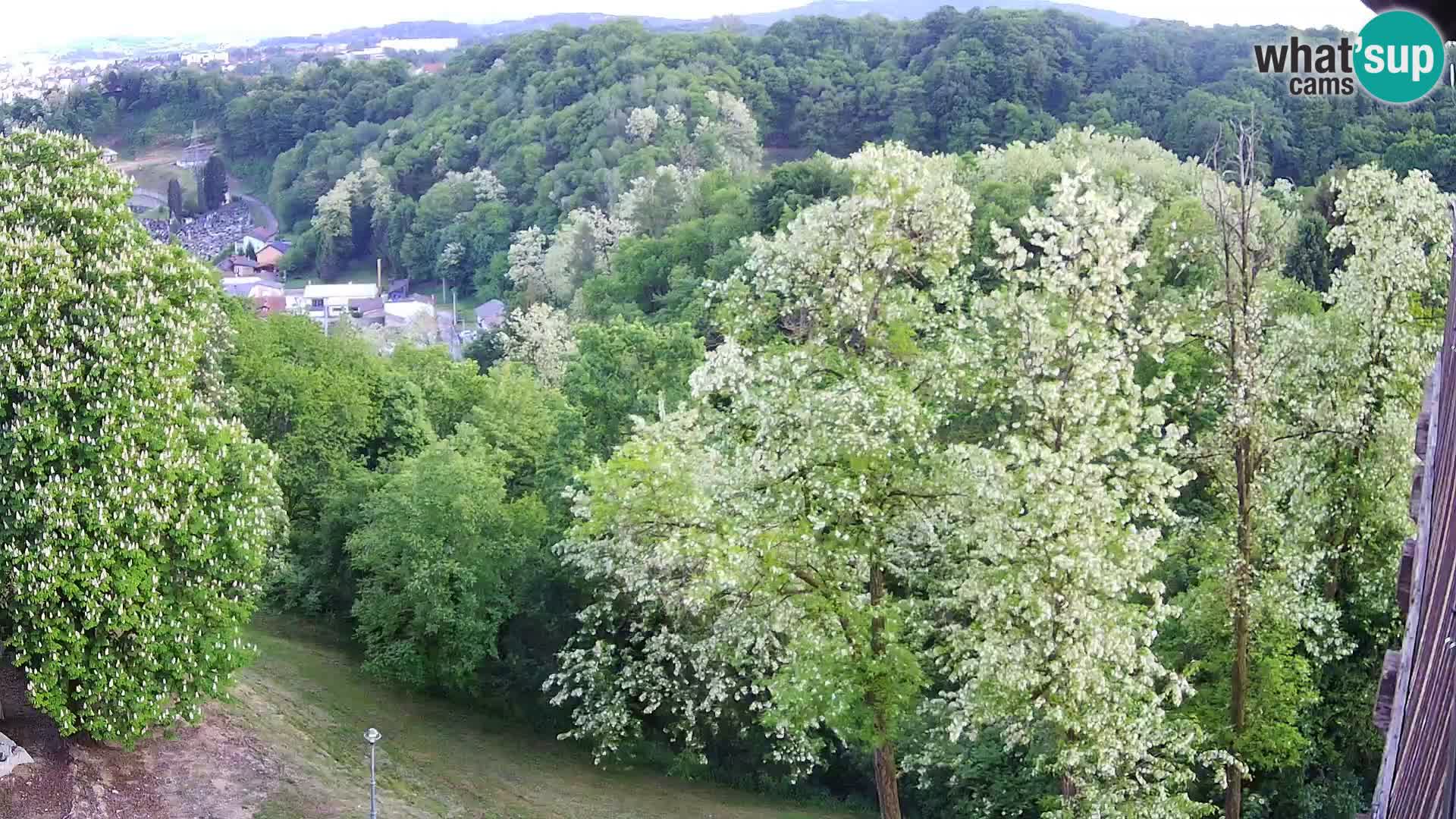 Webcam Karlovac Dubovac Castle – Live View of Karlovac’s Historic Landmark