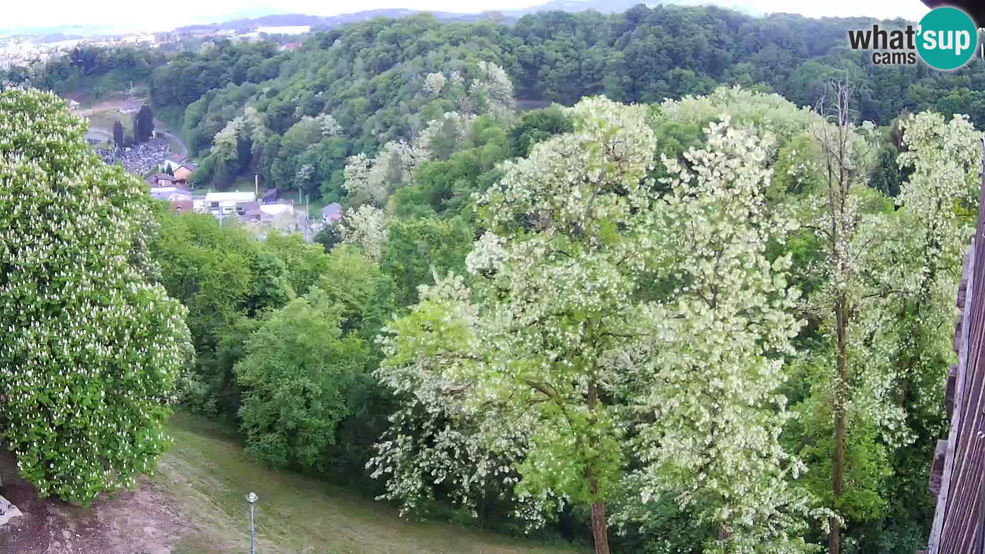 Webcam Karlovac Dubovac Castle – Live View of Karlovac’s Historic Landmark