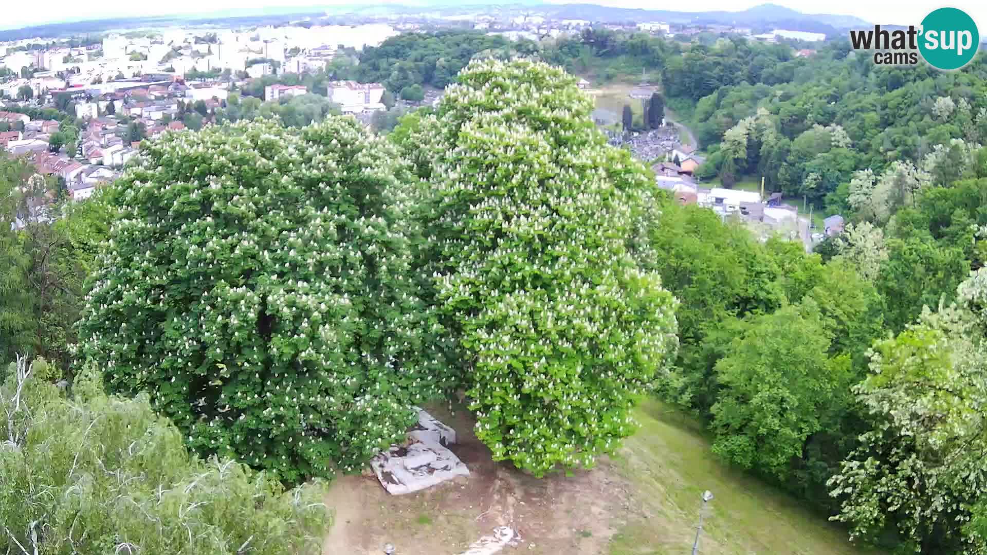 Webcam Castello Dubovac Karlovac – Vista Live sul Castello Storico
