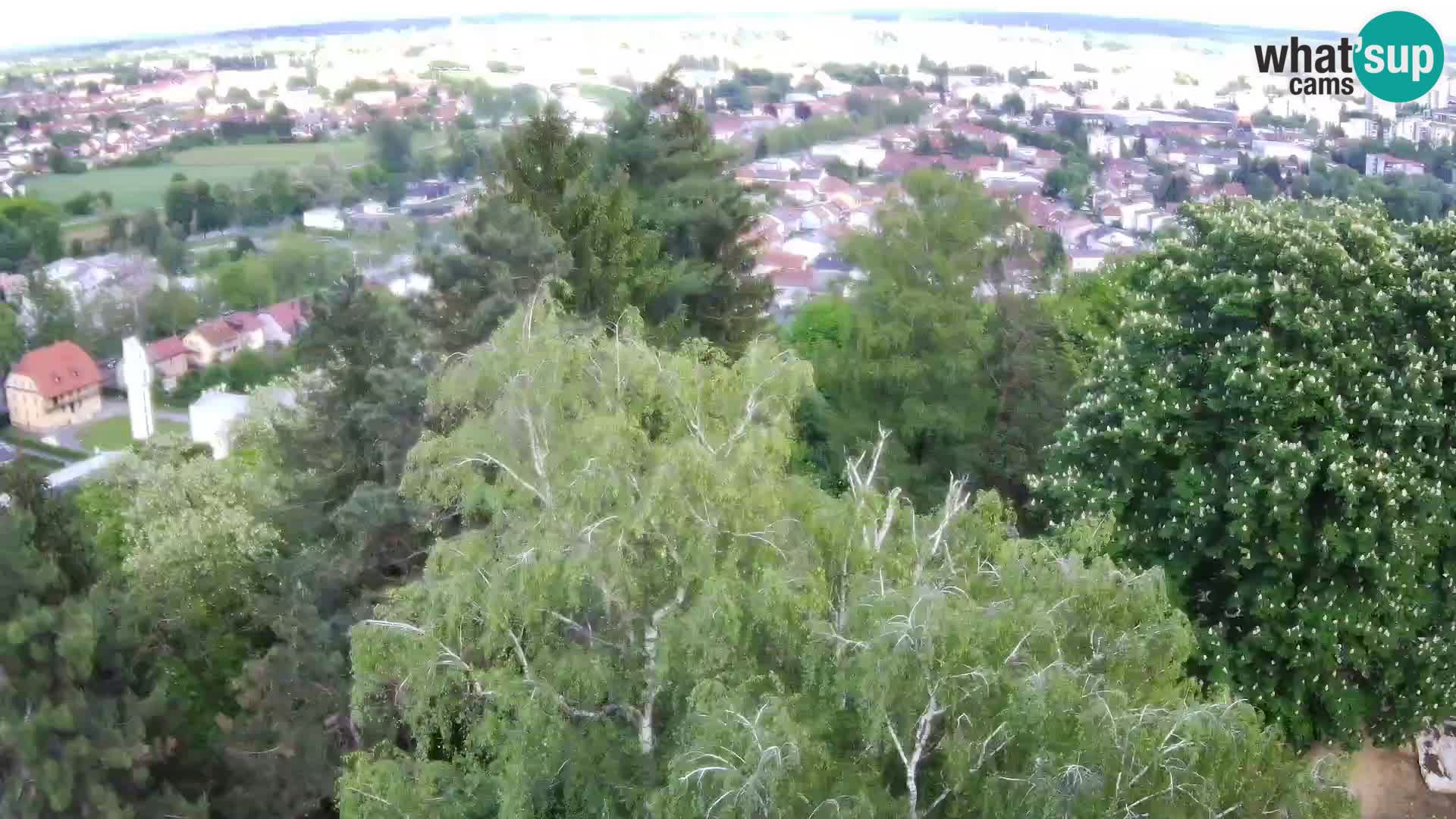 Webcam Karlstadt Burg Dubovac – Liveblick auf das historische Wahrzeichen